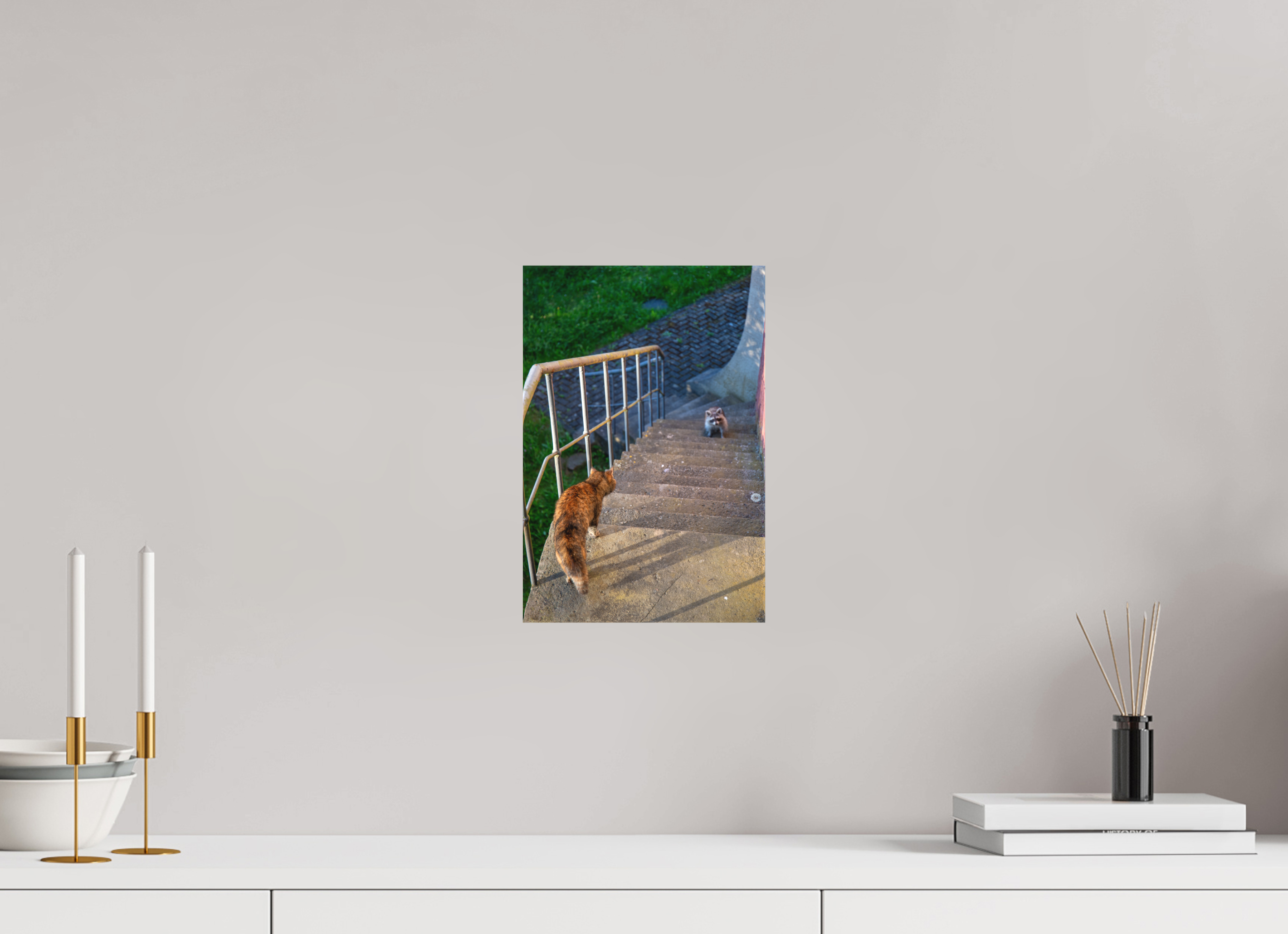 20 x 30 cm, Leinwandprint, matt Waschbär zu Besuch