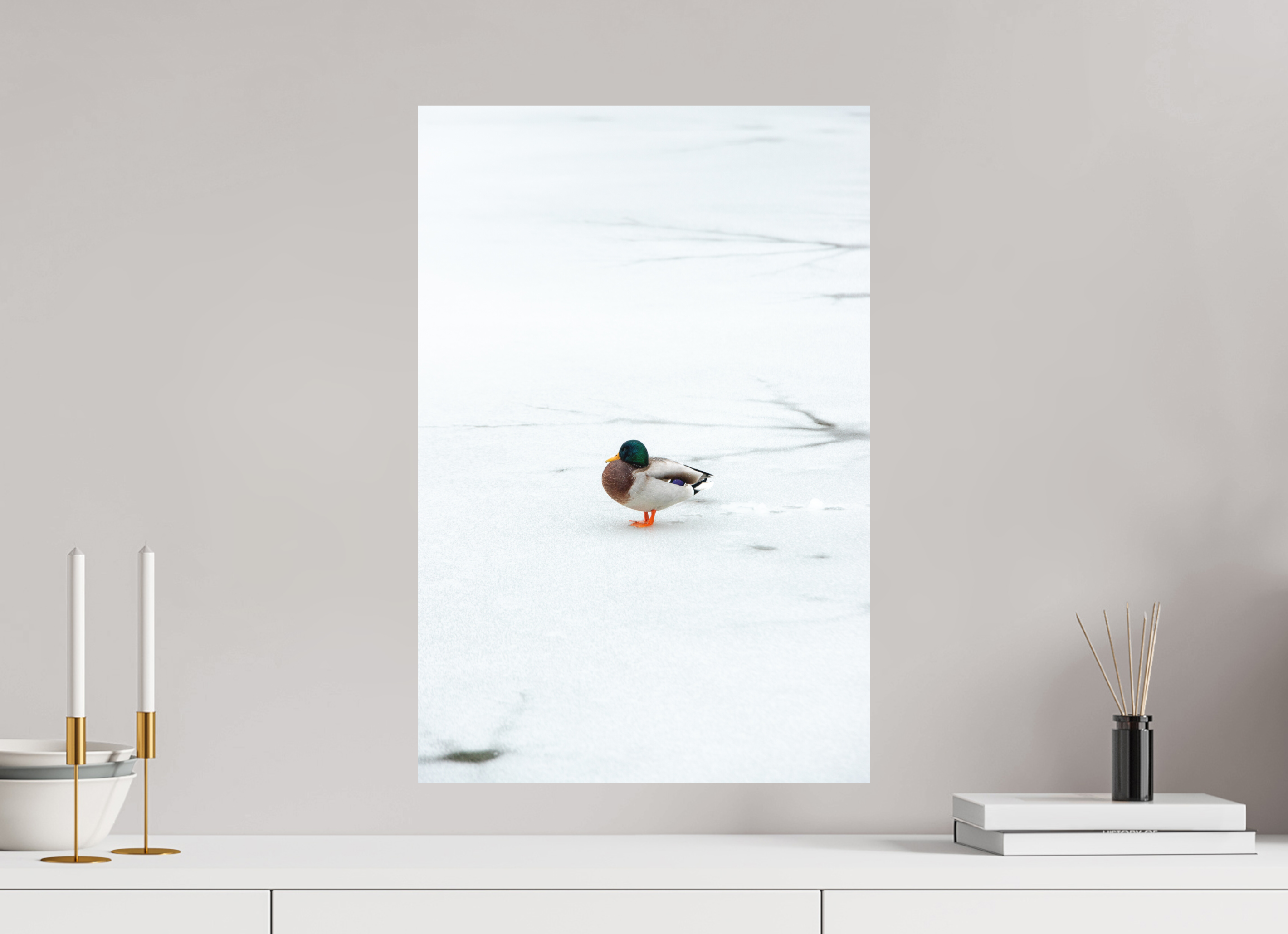 40 x 60 cm, Standard - Fuji Crystal Archive Silk Ente auf dem Prinzenteich