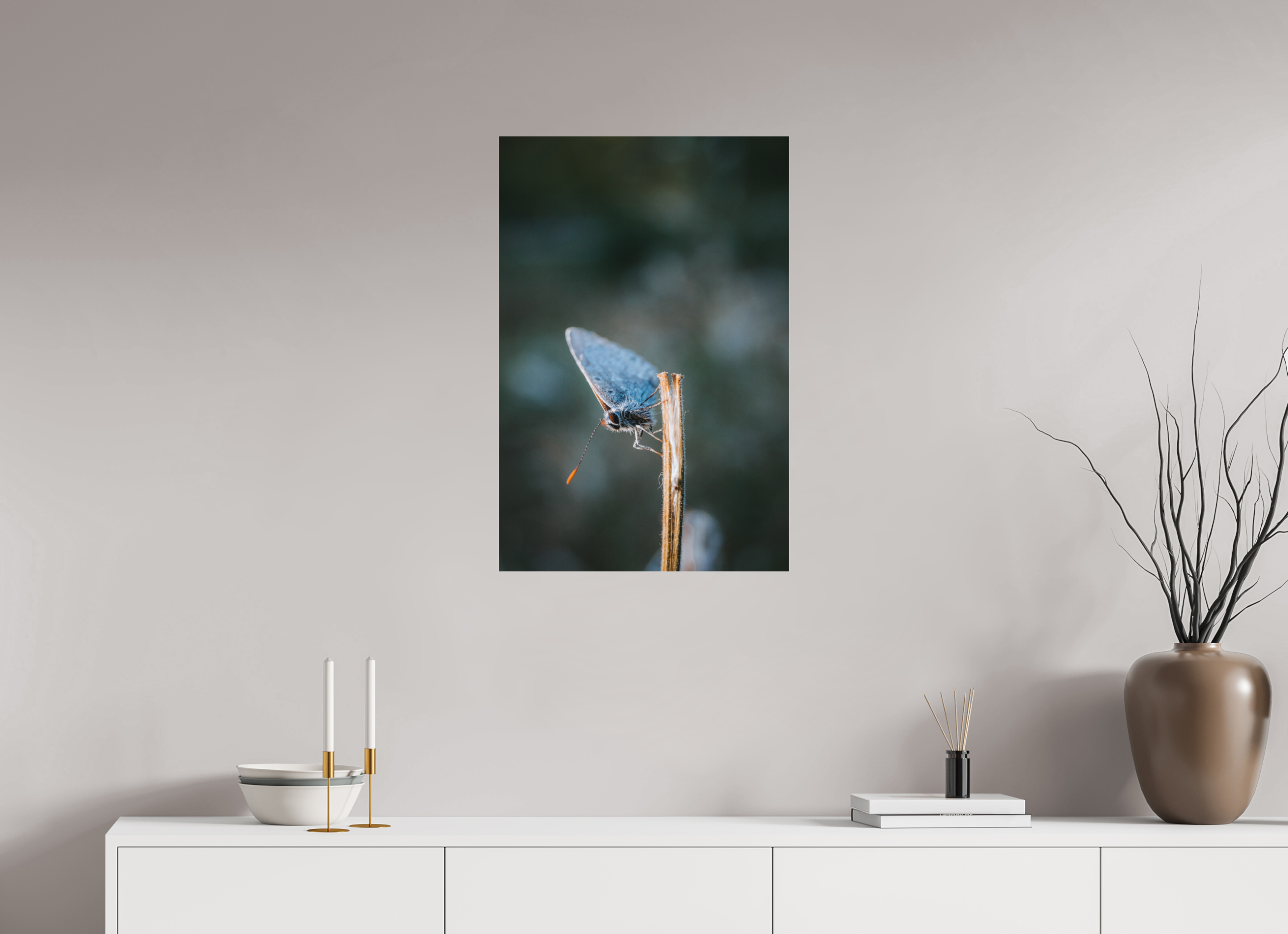 50 x 75 cm, Standard - Fuji Crystal Archive Silk Falter im Hainich