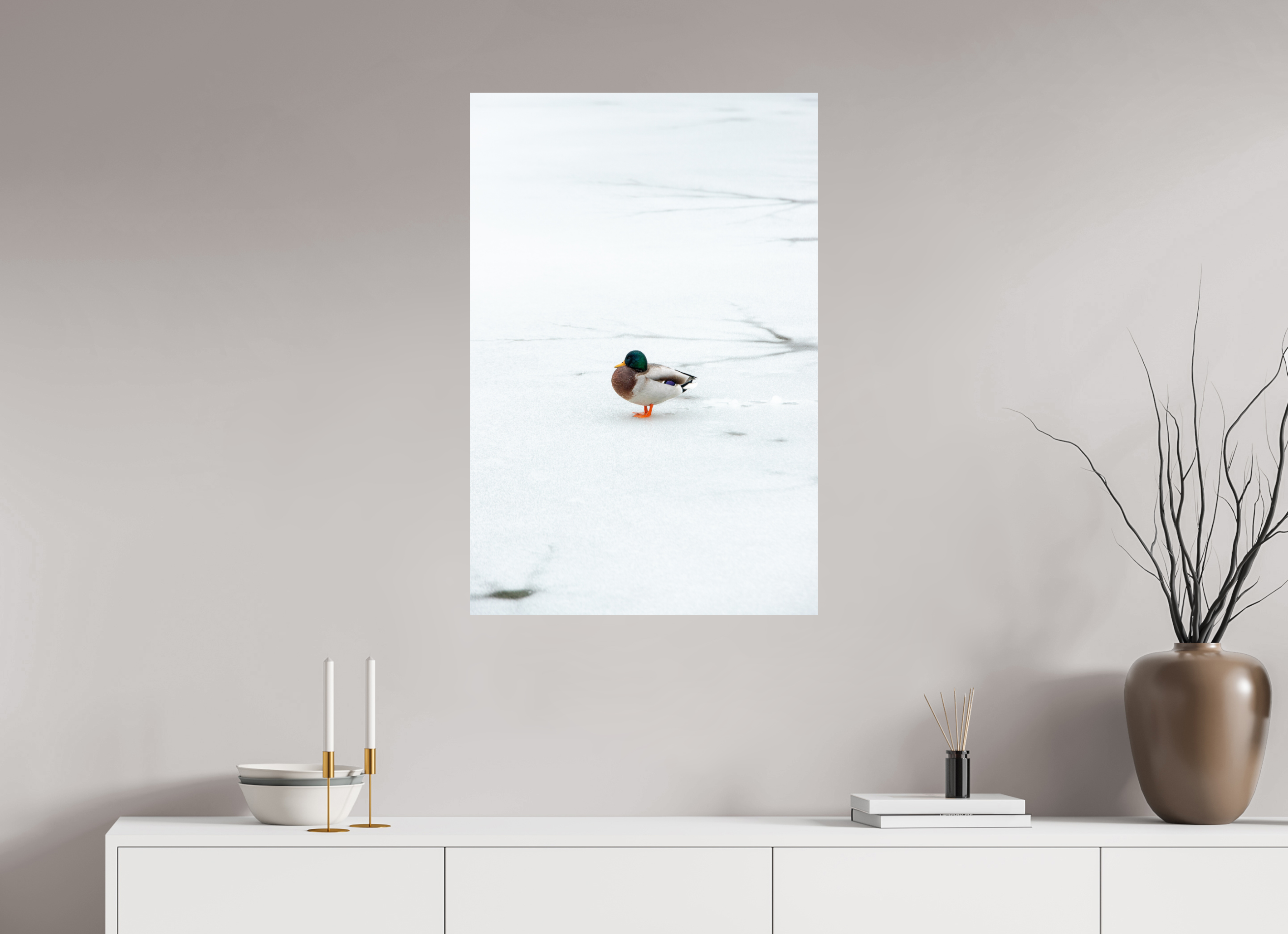 60 x 90 cm, Premium - Hahnemühle Photo Rag Baryta Ente auf dem Prinzenteich