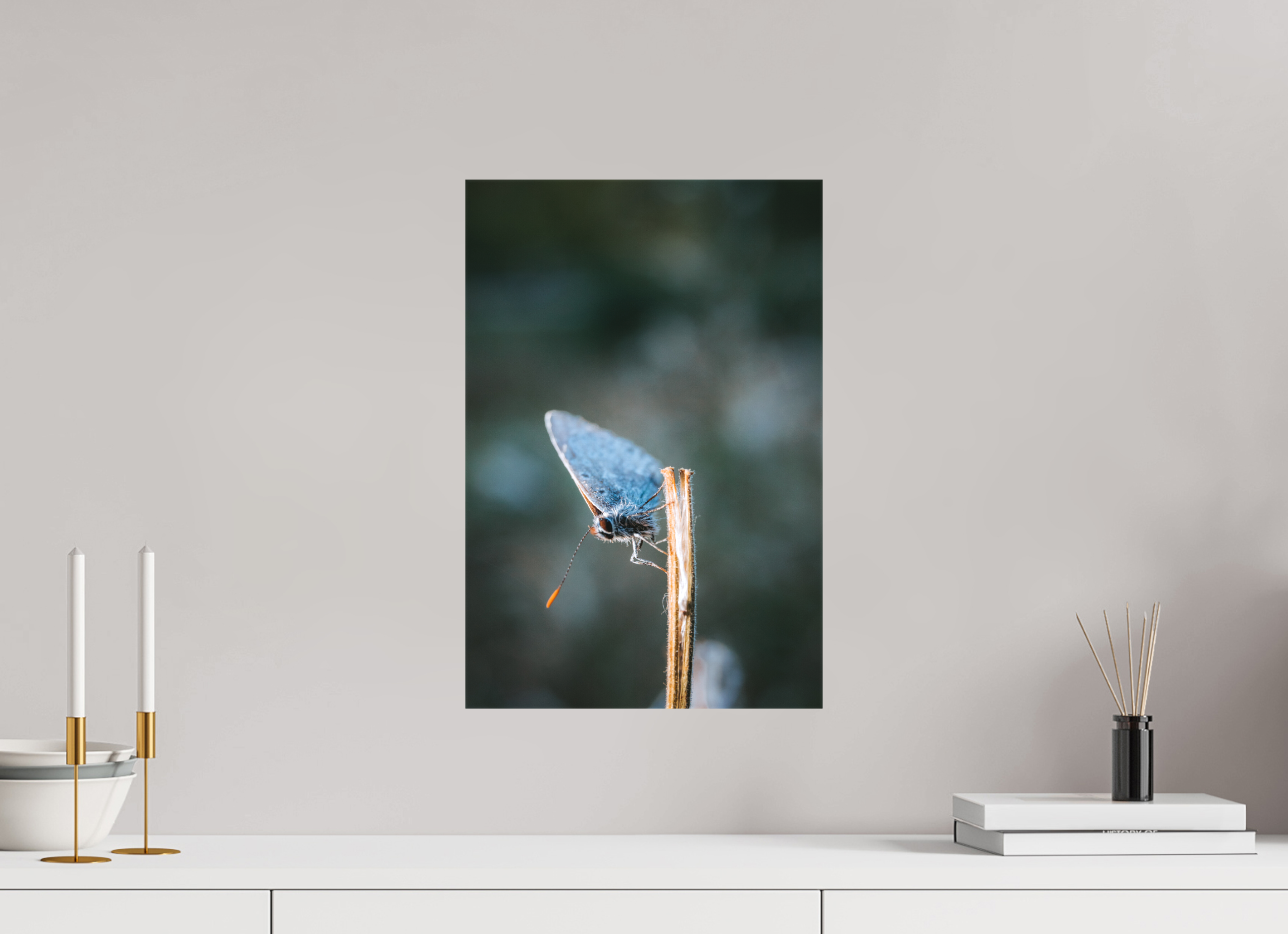 30 x 45 cm, Leinwandprint, matt Falter im Hainich