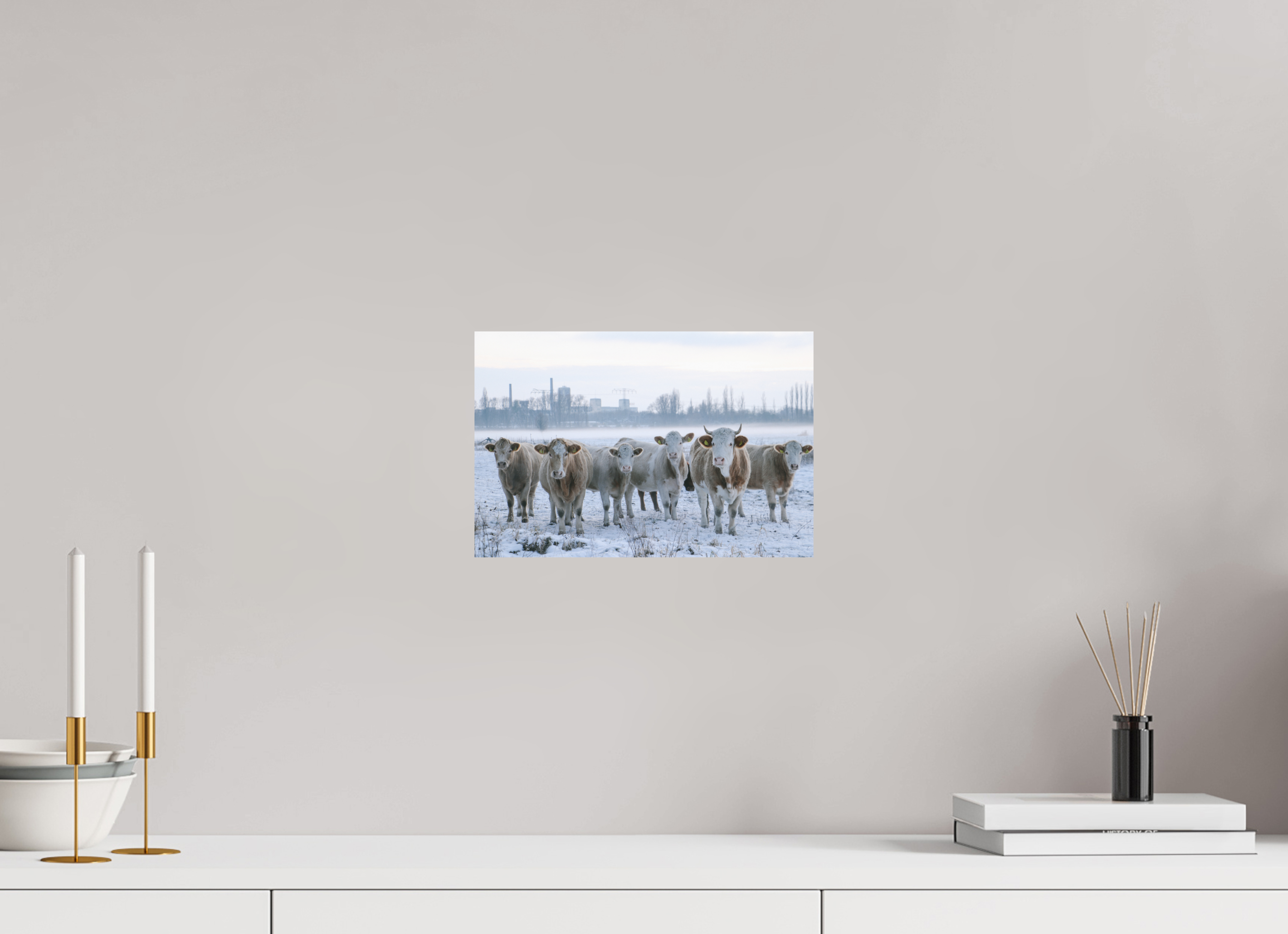 30 x 20 cm, Standard - Fuji Crystal Archive Silk Kühe an der Elbe