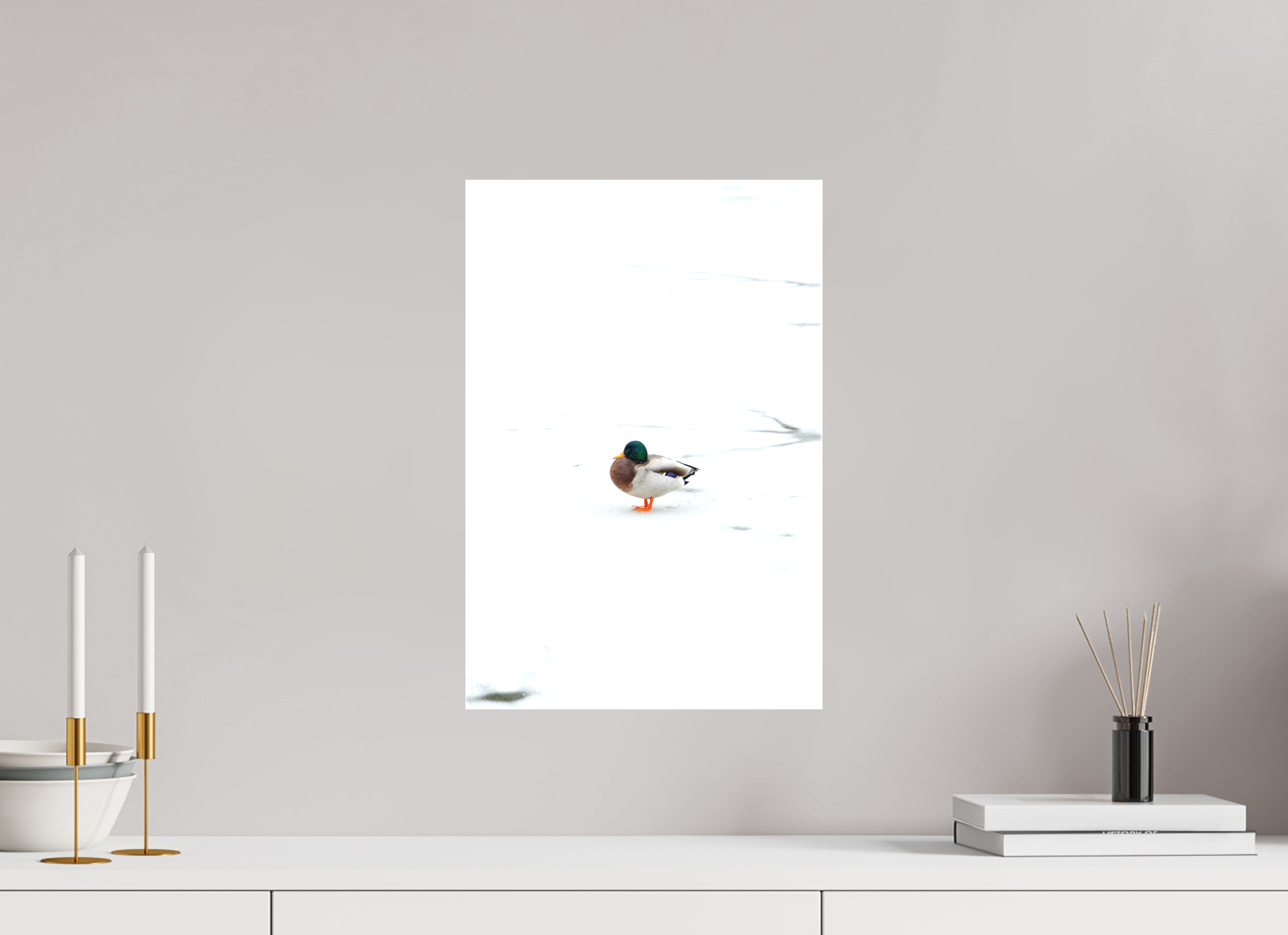 30 x 45 cm, Leinwandprint, matt Ente auf dem Prinzenteich