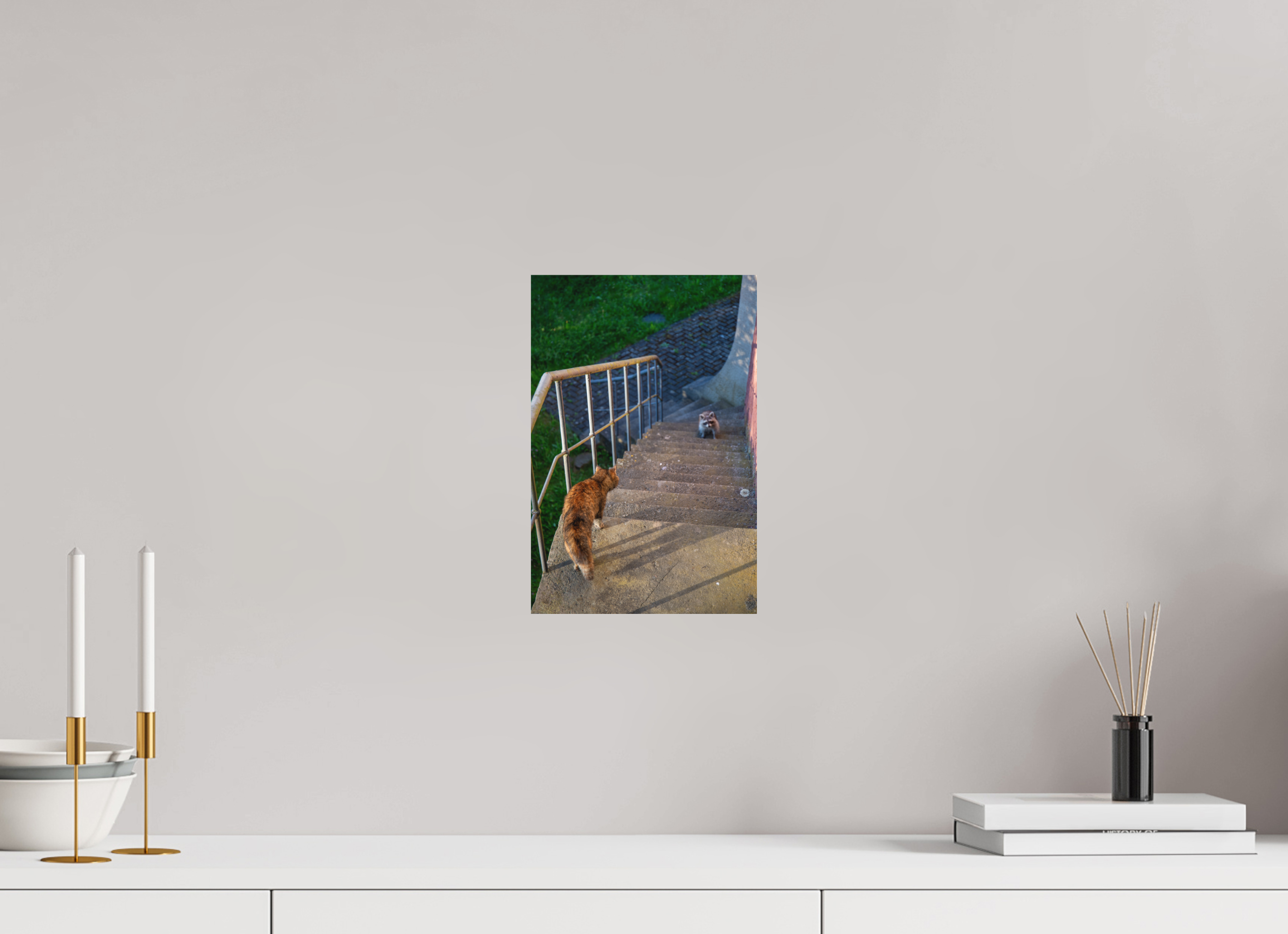 20 x 30 cm, Standard - Fuji Crystal Archive Silk Waschbär zu Besuch