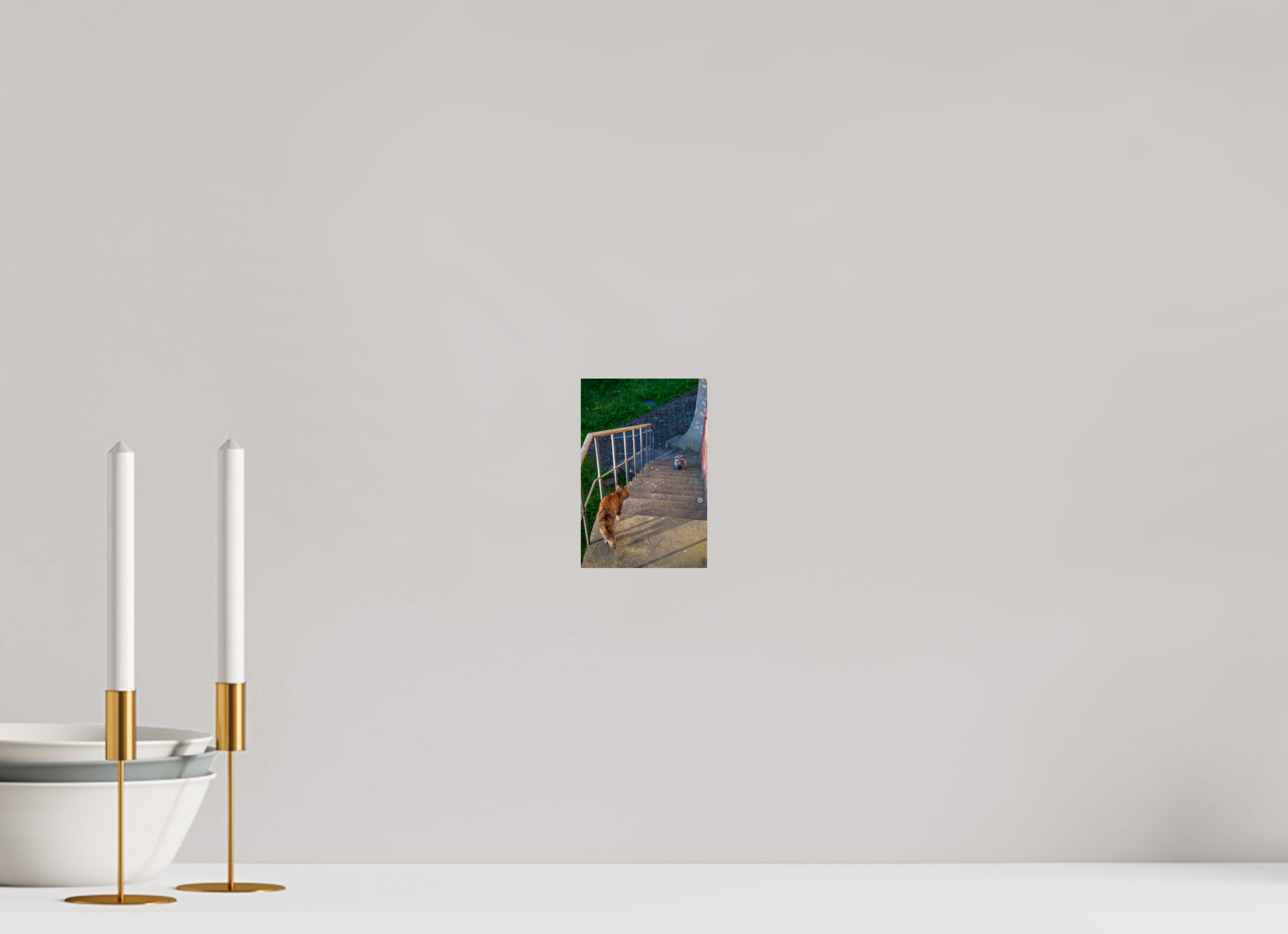 10 x 15 cm, Premium - Hahnemühle Photo Rag Baryta Waschbär zu Besuch