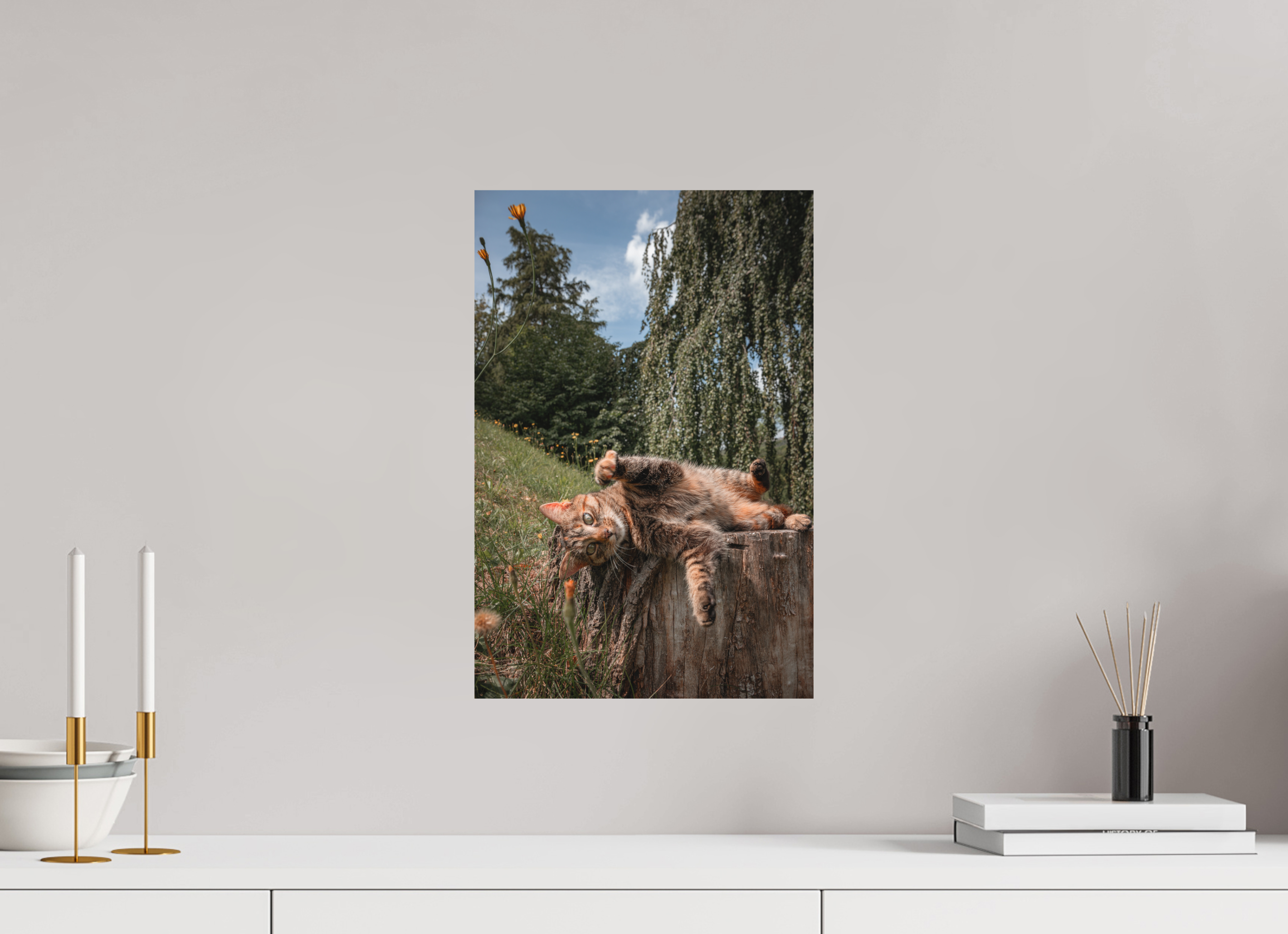 30 x 45 cm, Standard - Fuji Crystal Archive Silk Wild Cat