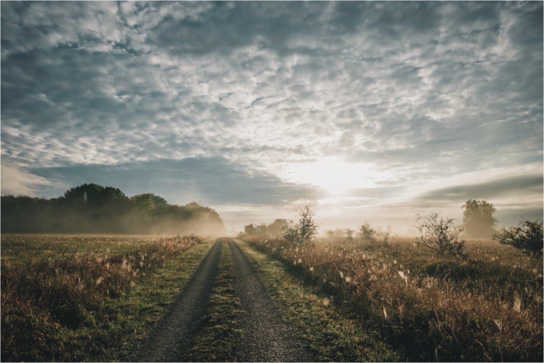 Sonnenaufgang im Hainich – Landschaftsfotografie