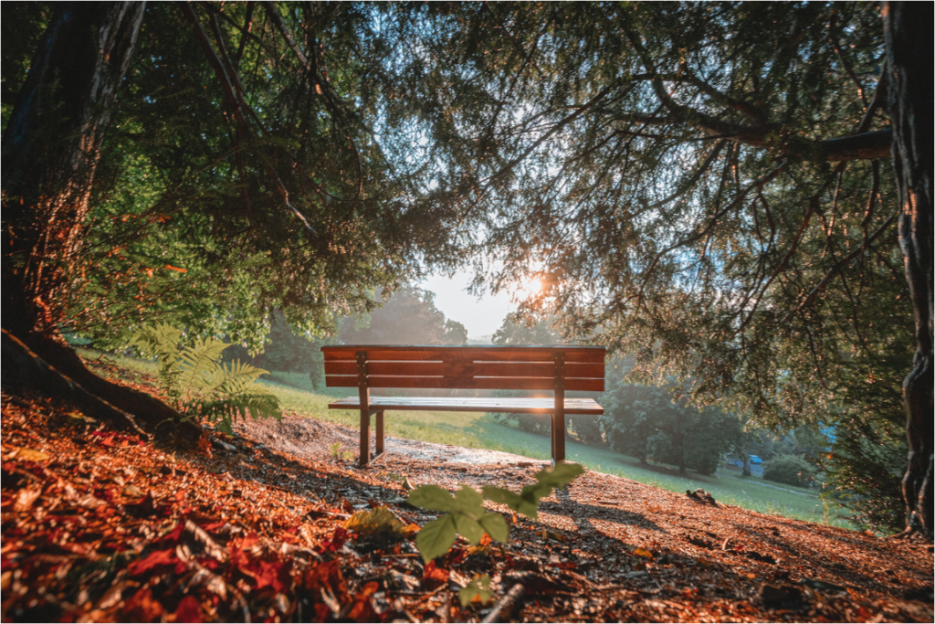 Parkbank im Sonnenuntergang im Stadtpark Eisenach