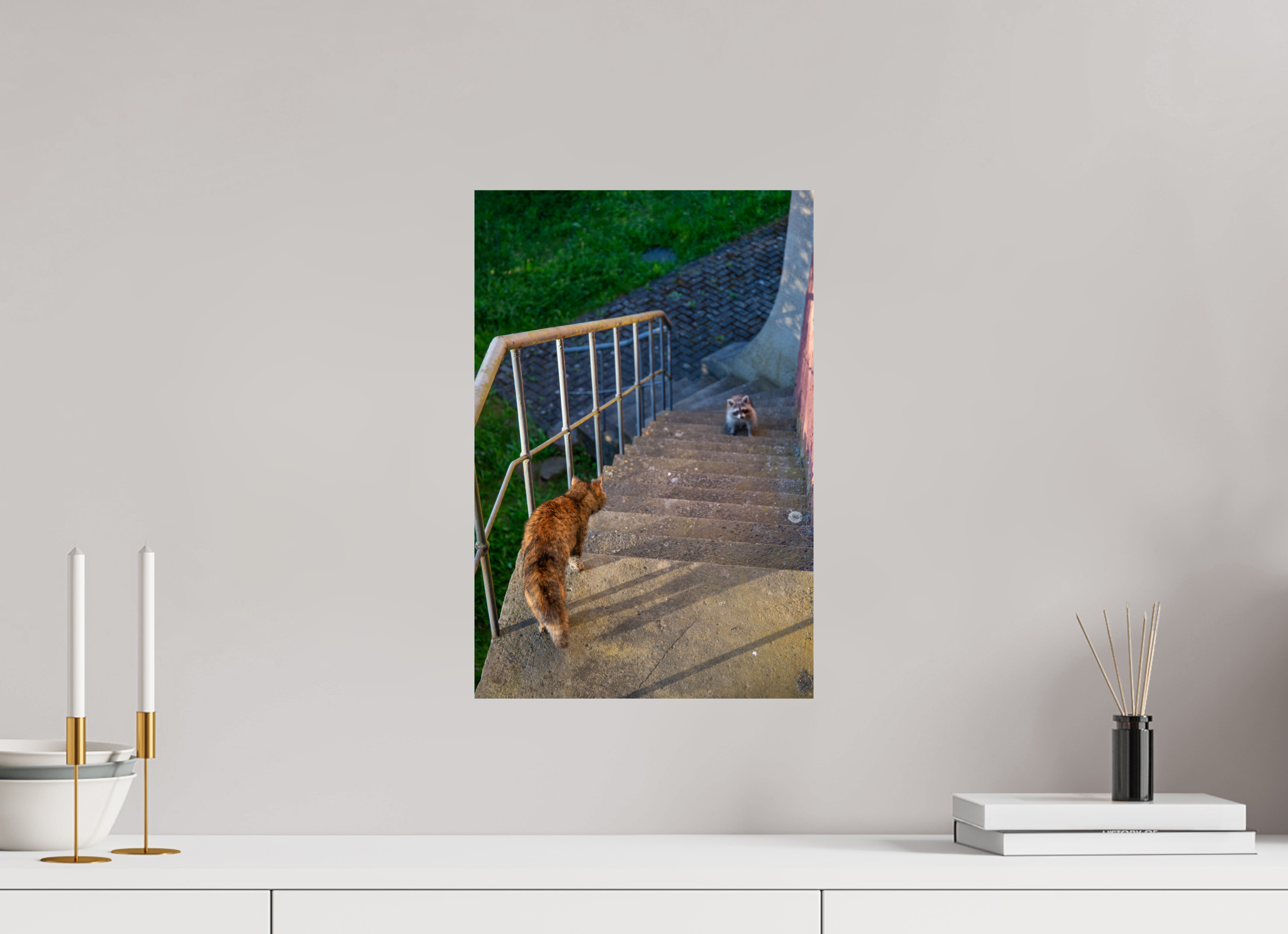 30 x 45 cm, Premium - Hahnemühle Photo Rag Baryta Waschbär zu Besuch