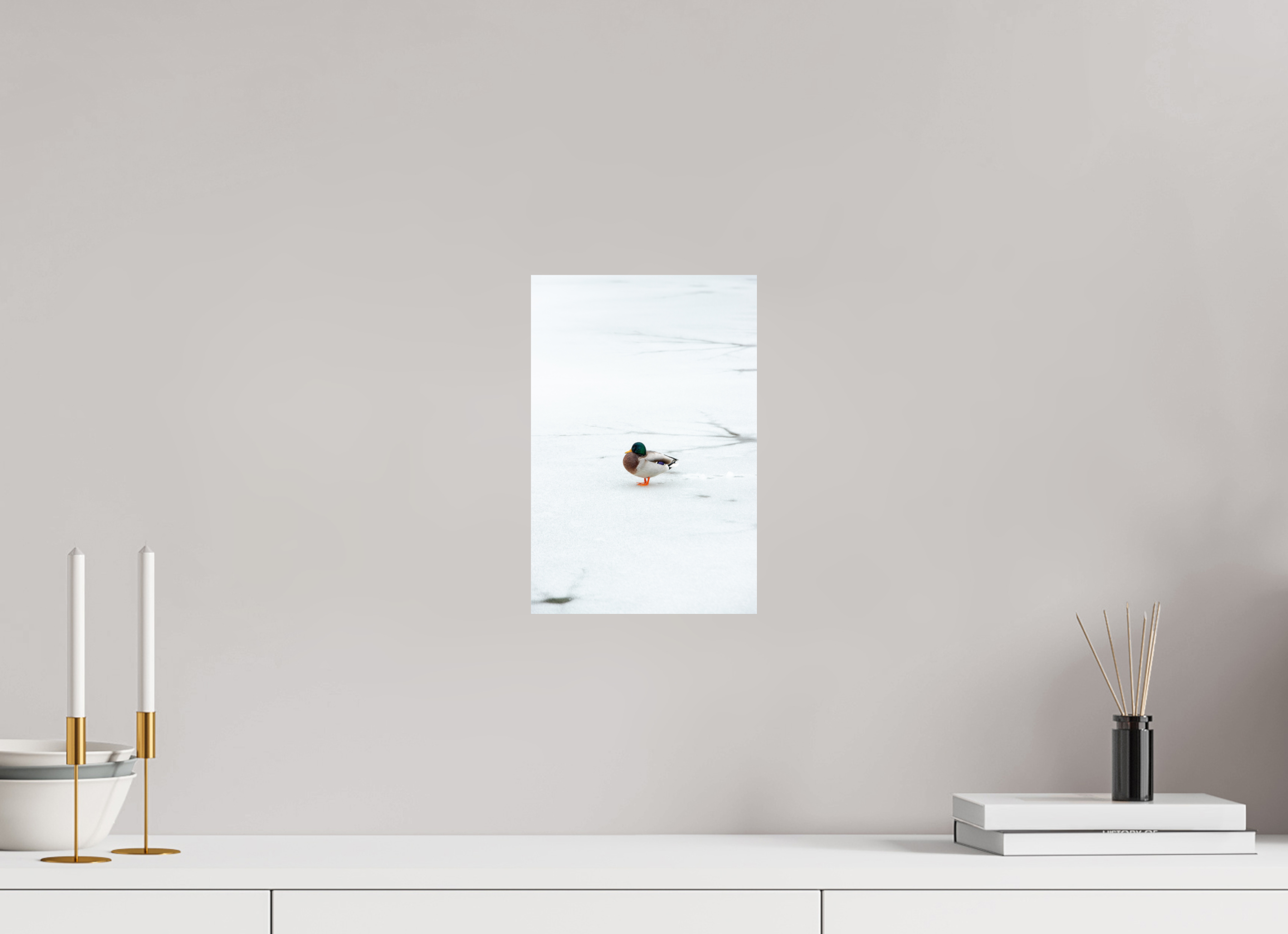 20 x 30 cm, Premium - Hahnemühle Photo Rag Baryta Ente auf dem Prinzenteich