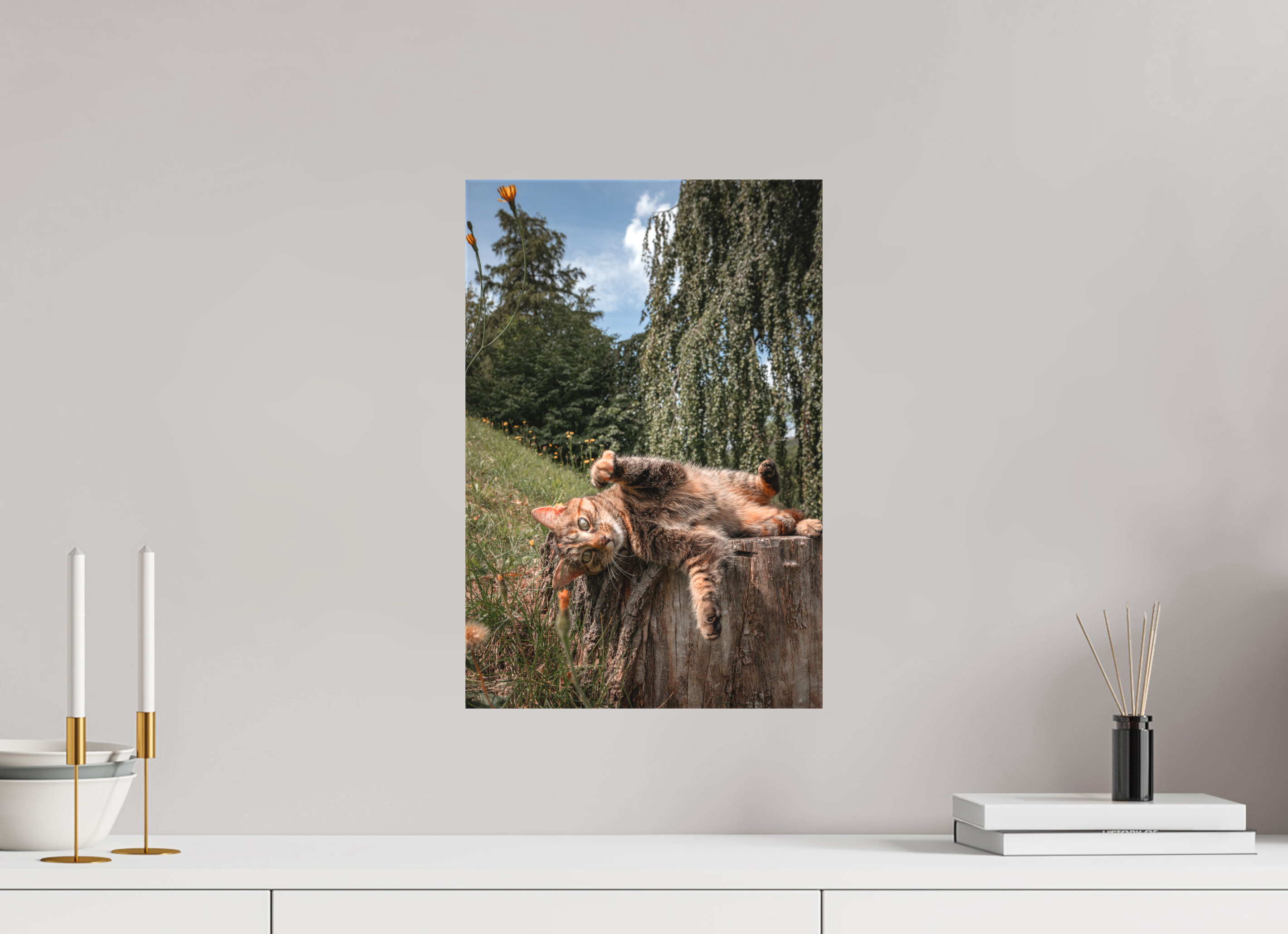 30 x 45 cm, Leinwandprint, matt Wild Cat