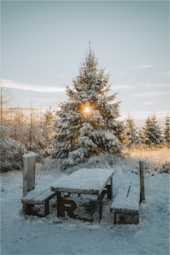 Schnee auf dem Rennsteig bei Ruhla im Sonnenuntergang