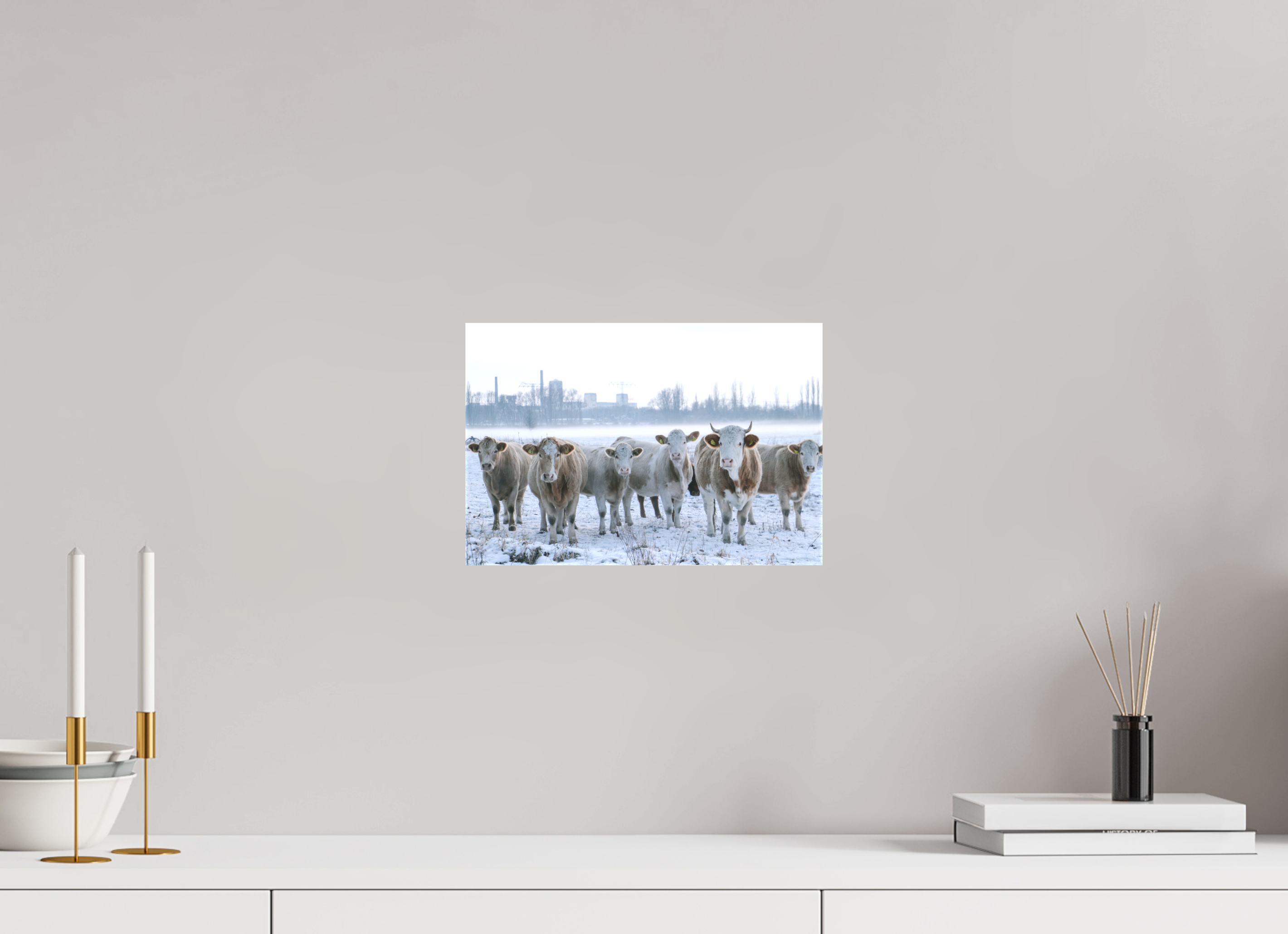 30 x 20 cm, Leinwandprint, matt Kühe an der Elbe