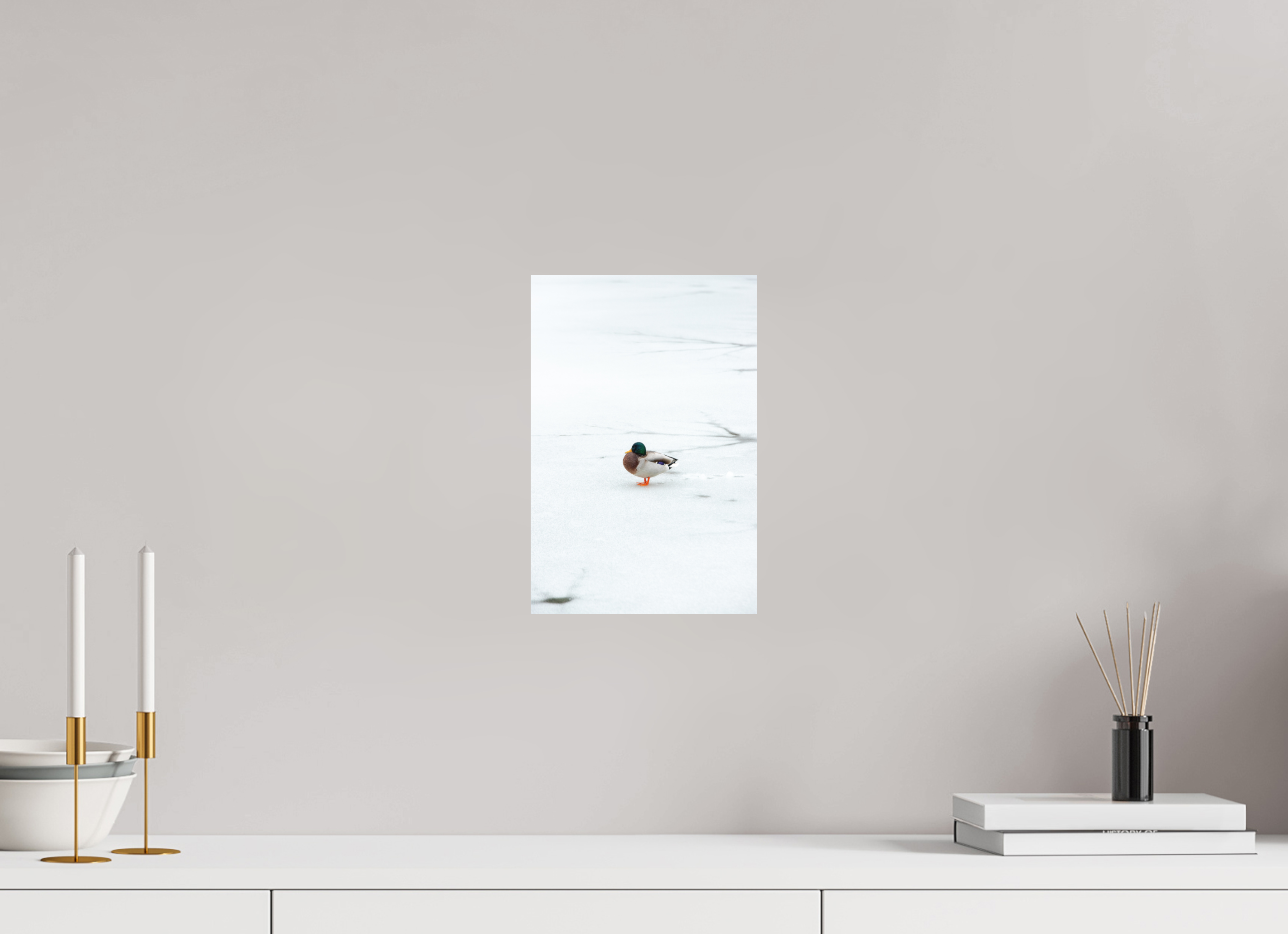 20 x 30 cm, Standard - Fuji Crystal Archive Silk Ente auf dem Prinzenteich