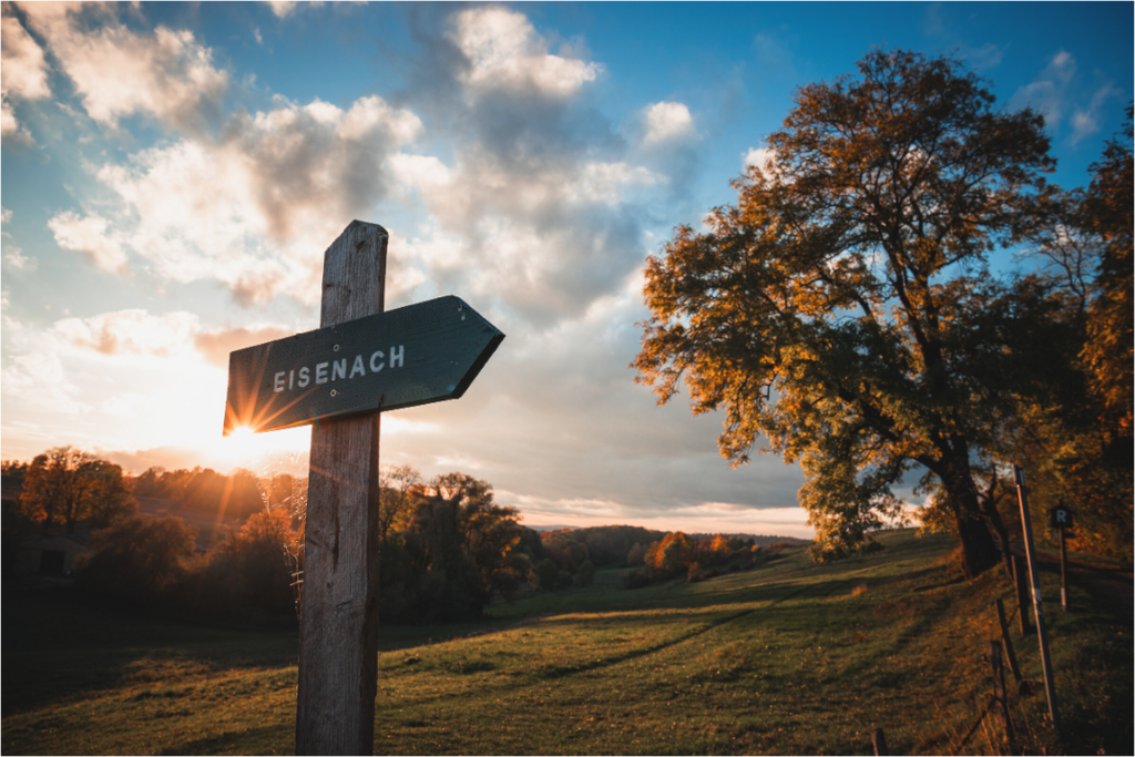 Rennsteig bei Clausberg – ruhige Landschaftsstimmung