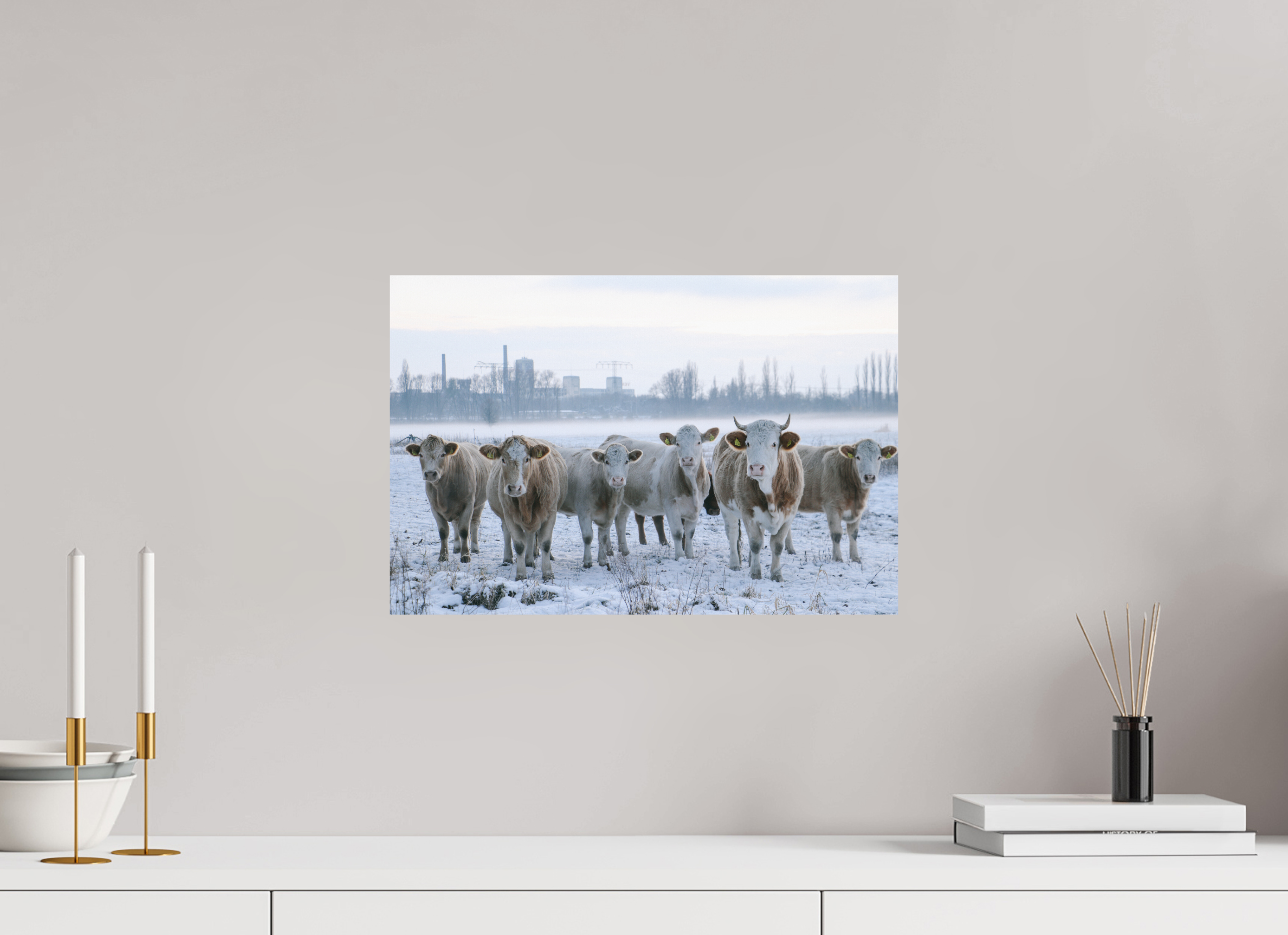 45 x 30 cm, Premium - Hahnemühle Photo Rag Baryta Kühe an der Elbe