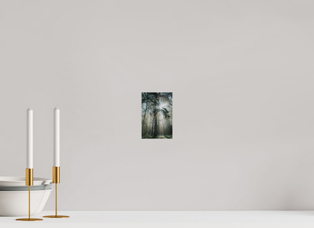 10 x 15 cm, Standard - Fuji Crystal Archive Silk Eisenach Stadtpark 3