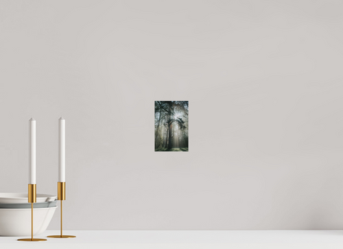 10 x 15 cm, Standard - Fuji Crystal Archive Silk Eisenach Stadtpark 3