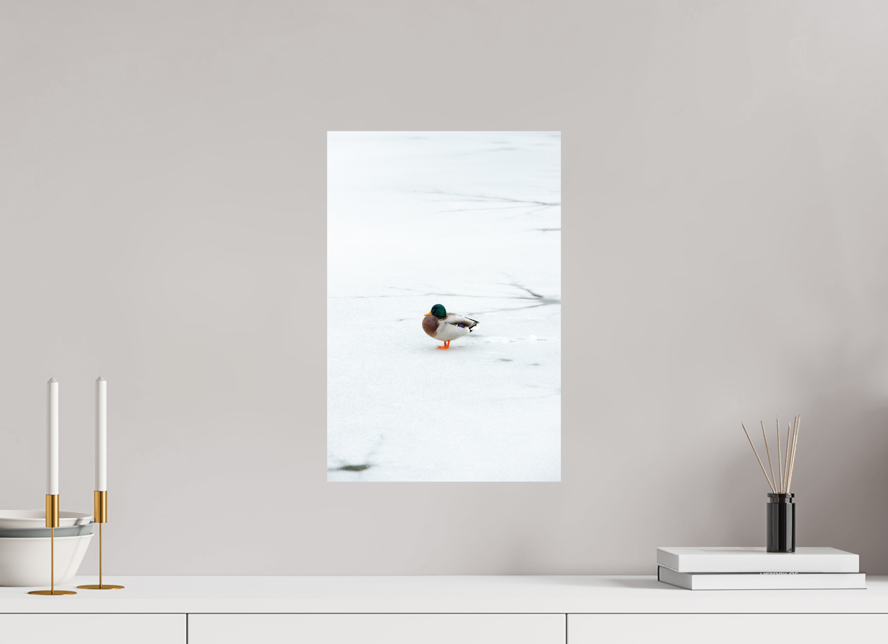 30 x 45 cm, Premium - Hahnemühle Photo Rag Baryta Ente auf dem Prinzenteich