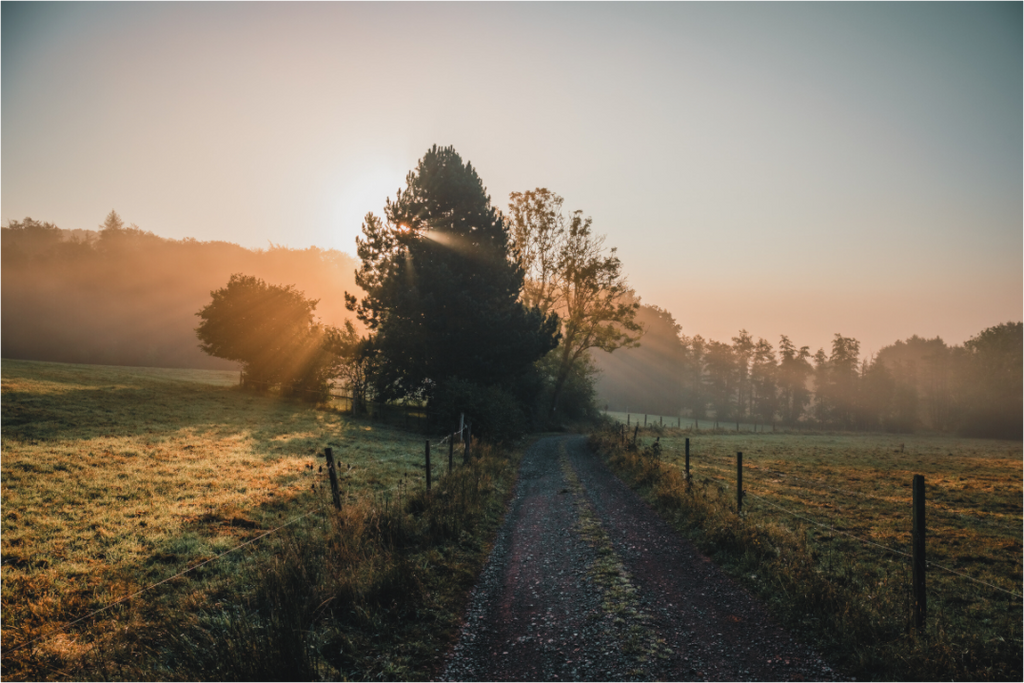 Weg nach Mosbach im Nebel bei Sonnenaufgang – Landschaftsfotografie