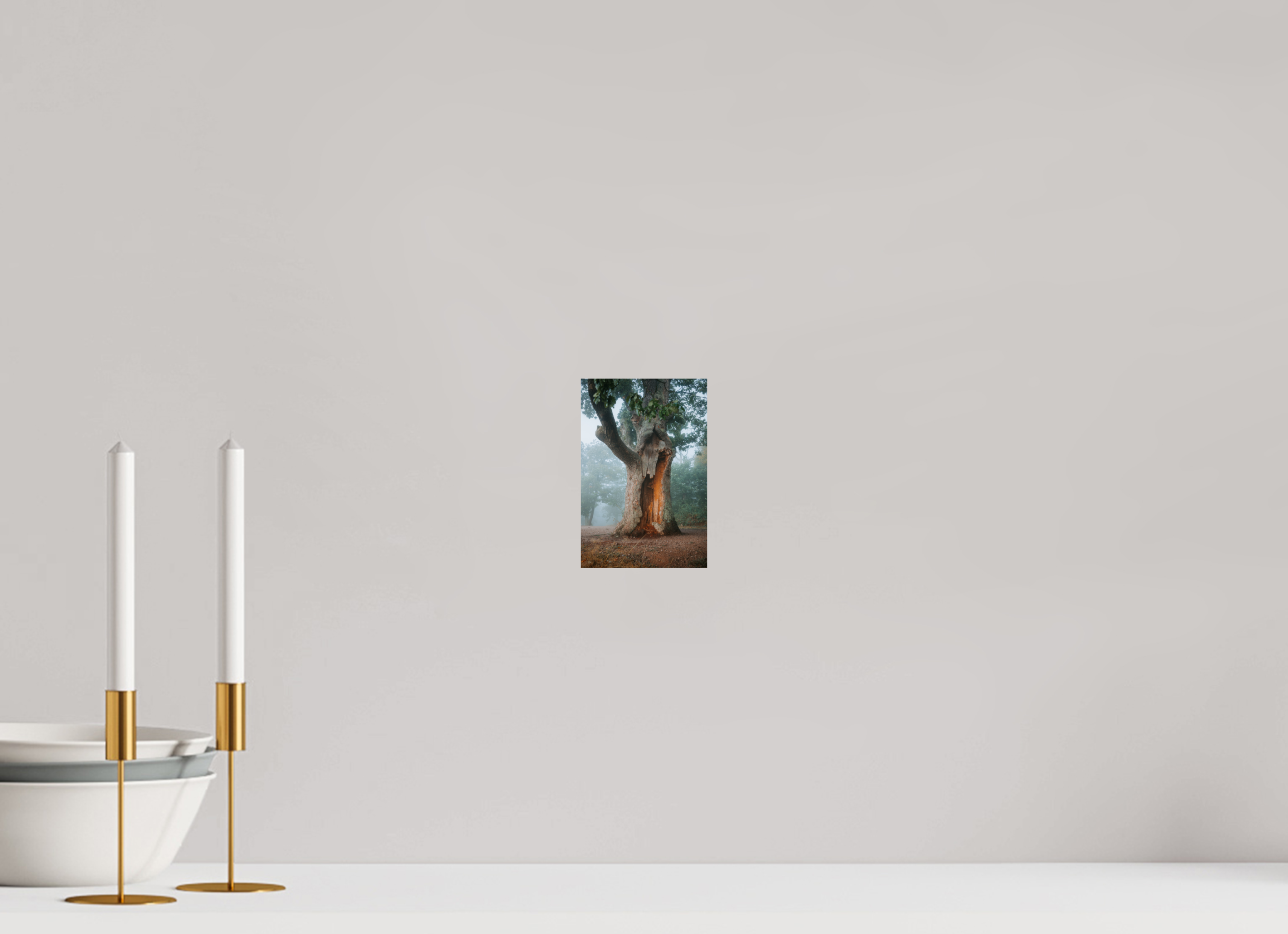 10 x 15 cm, Premium - Hahnemühle Photo Rag Baryta Drachenstein