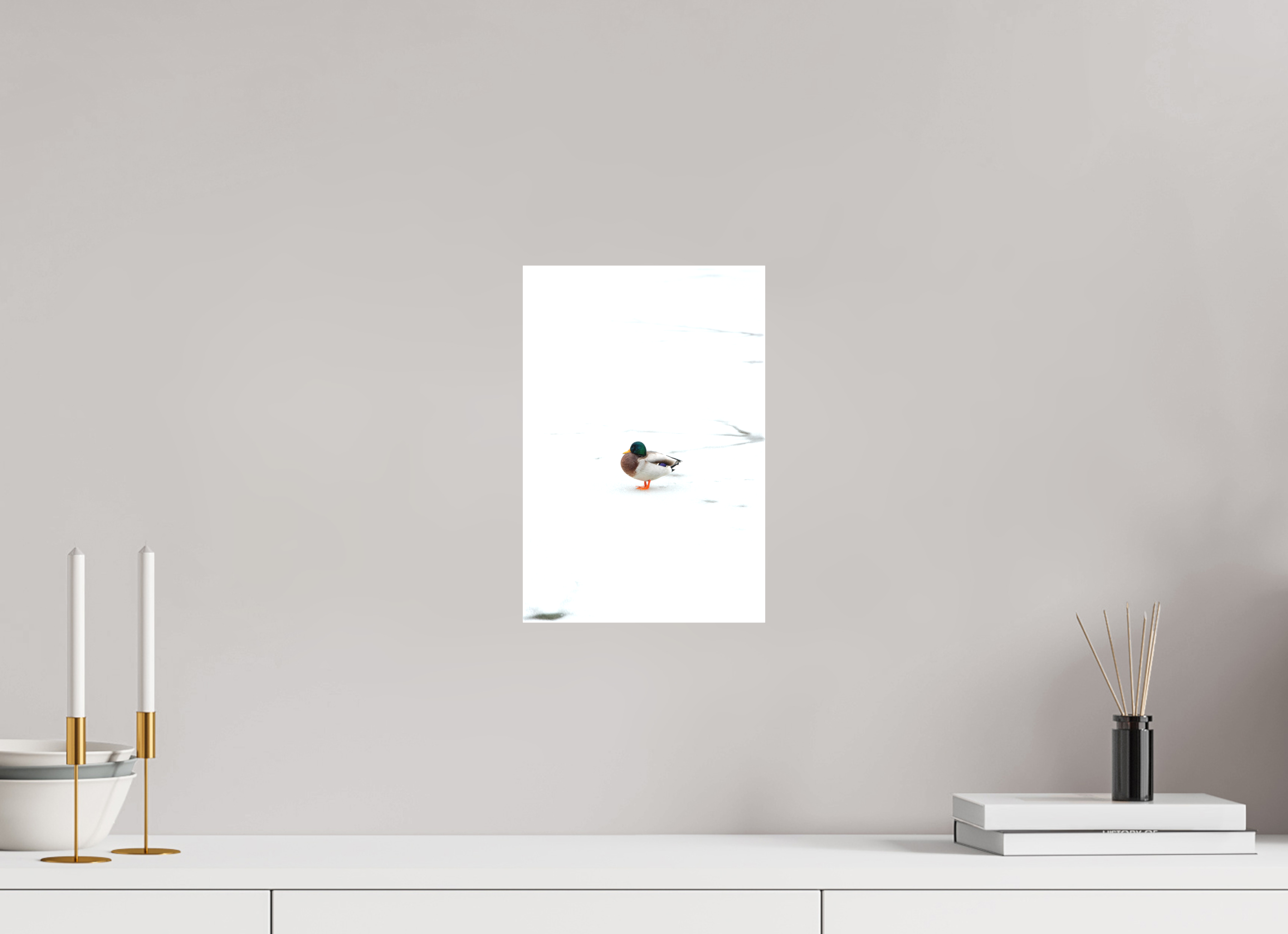 20 x 30 cm, Leinwandprint, matt Ente auf dem Prinzenteich