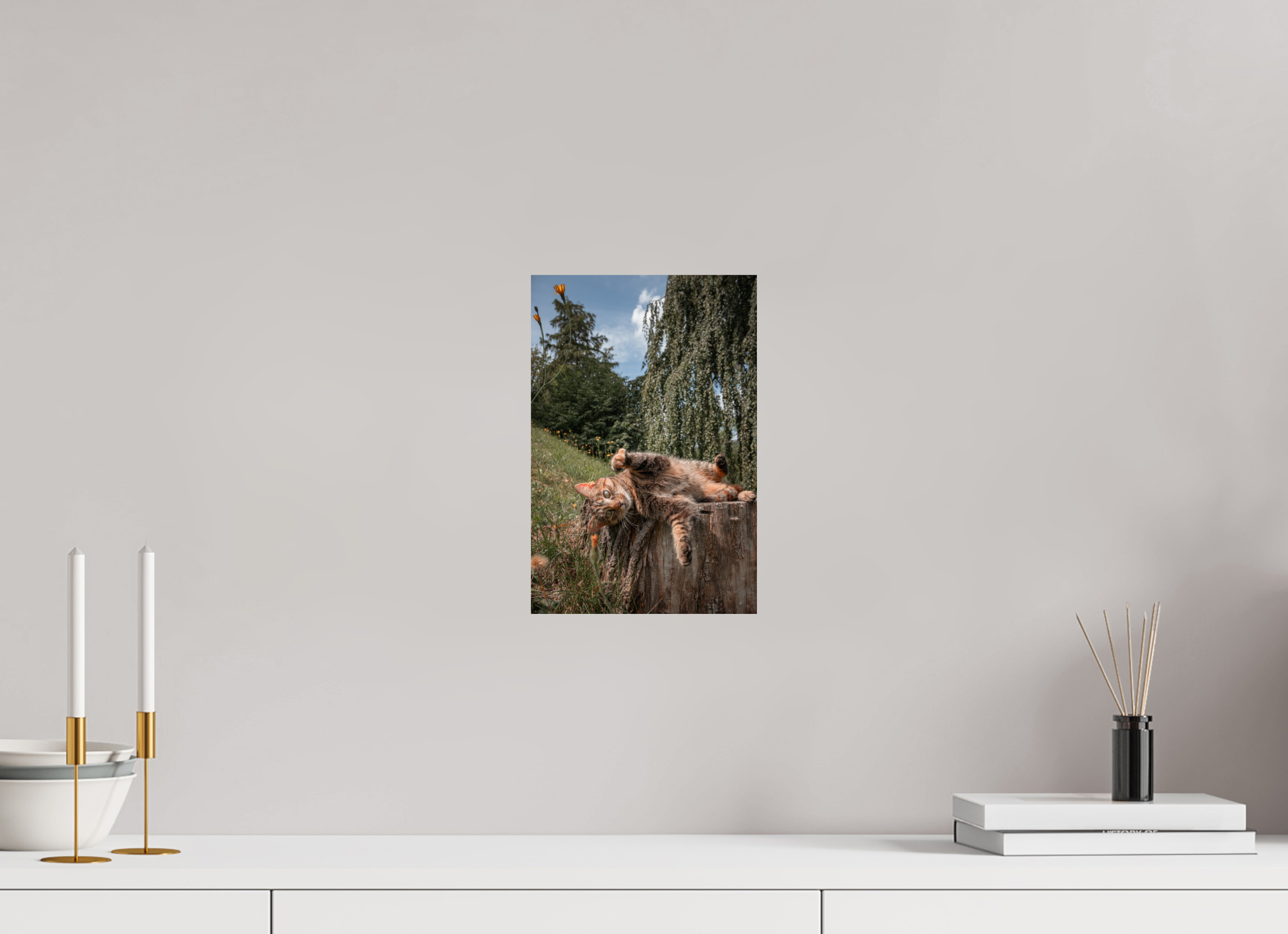 20 x 30 cm, Premium - Hahnemühle Photo Rag Baryta Wild Cat