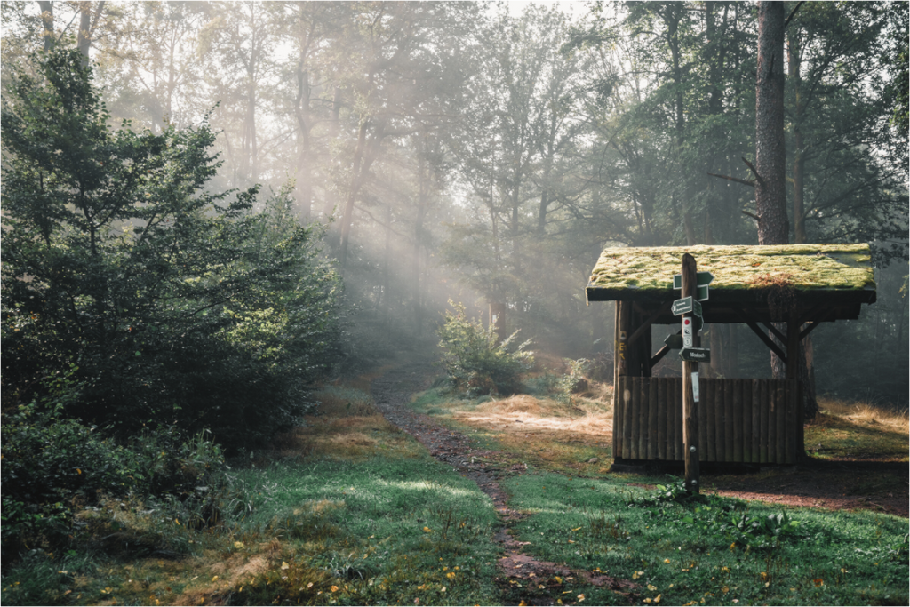 Nebliger Wald mit Hütte an der Weinstraße – Märchenwald