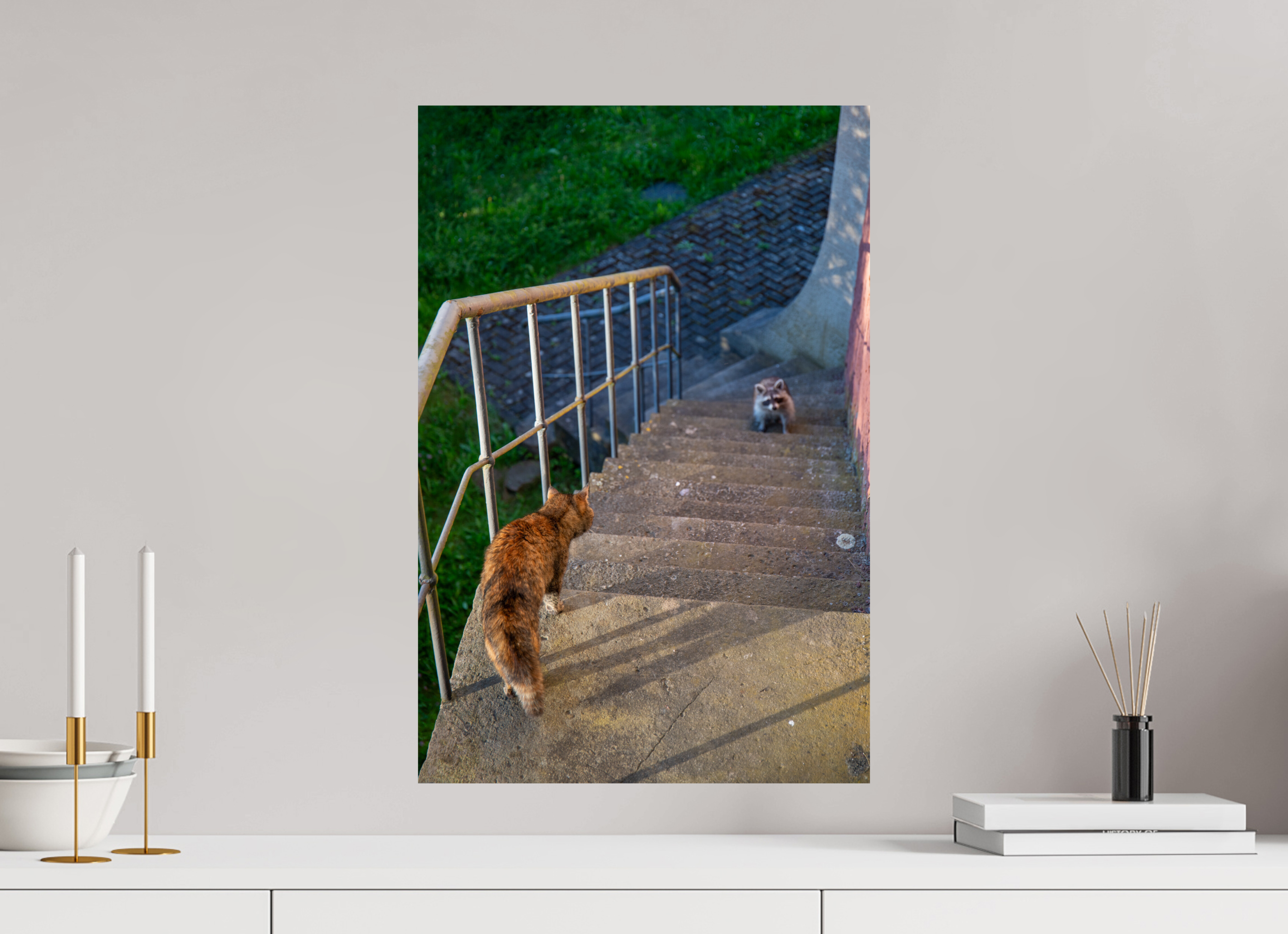 40 x 60 cm, Premium - Hahnemühle Photo Rag Baryta Waschbär zu Besuch