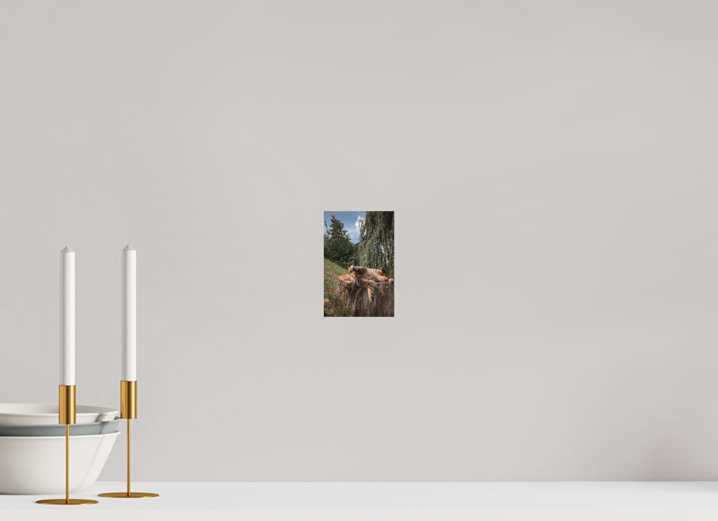 10 x 15 cm, Standard - Fuji Crystal Archive Silk Wild Cat