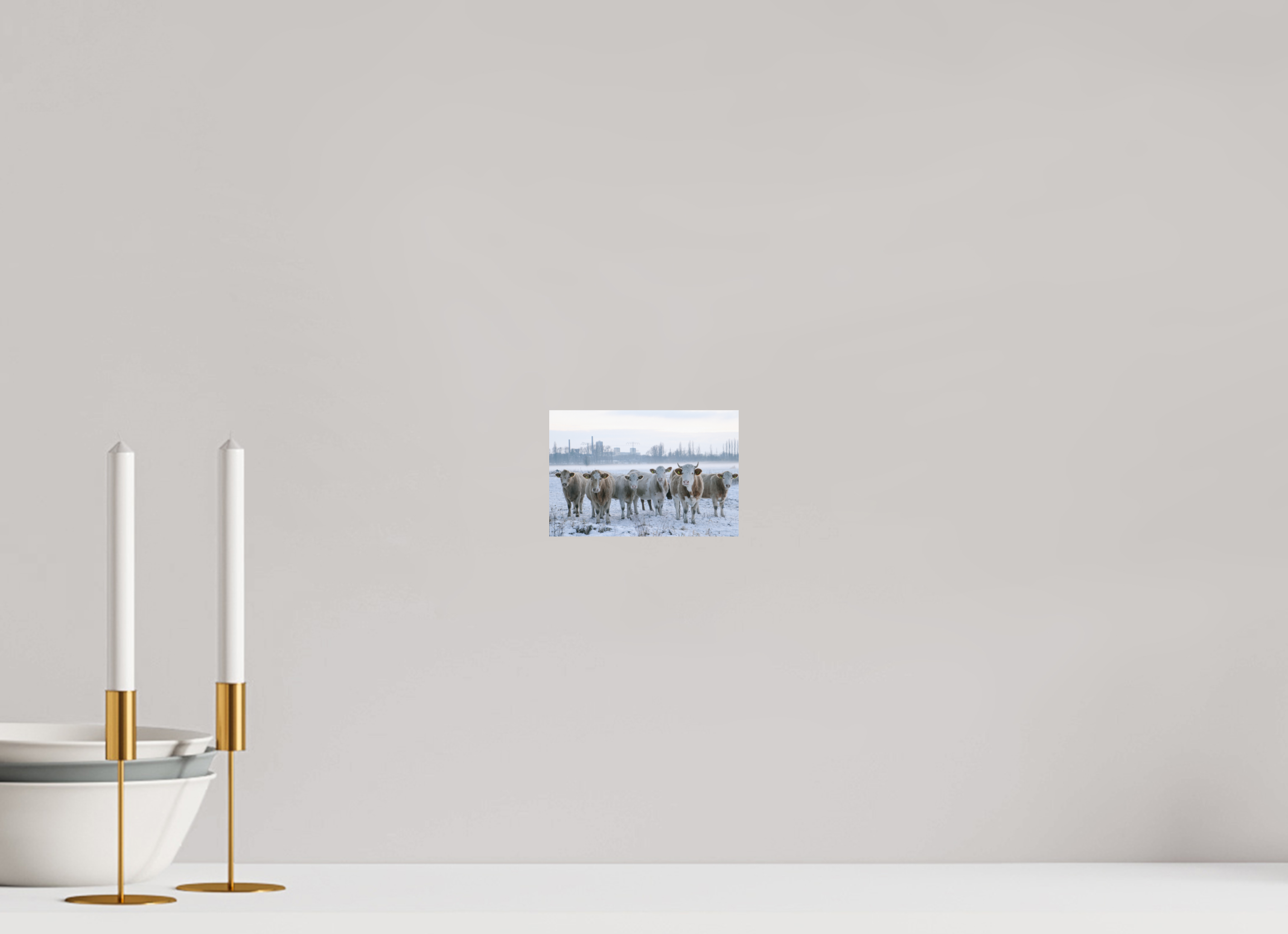 15 x 10 cm, Premium - Hahnemühle Photo Rag Baryta Kühe an der Elbe