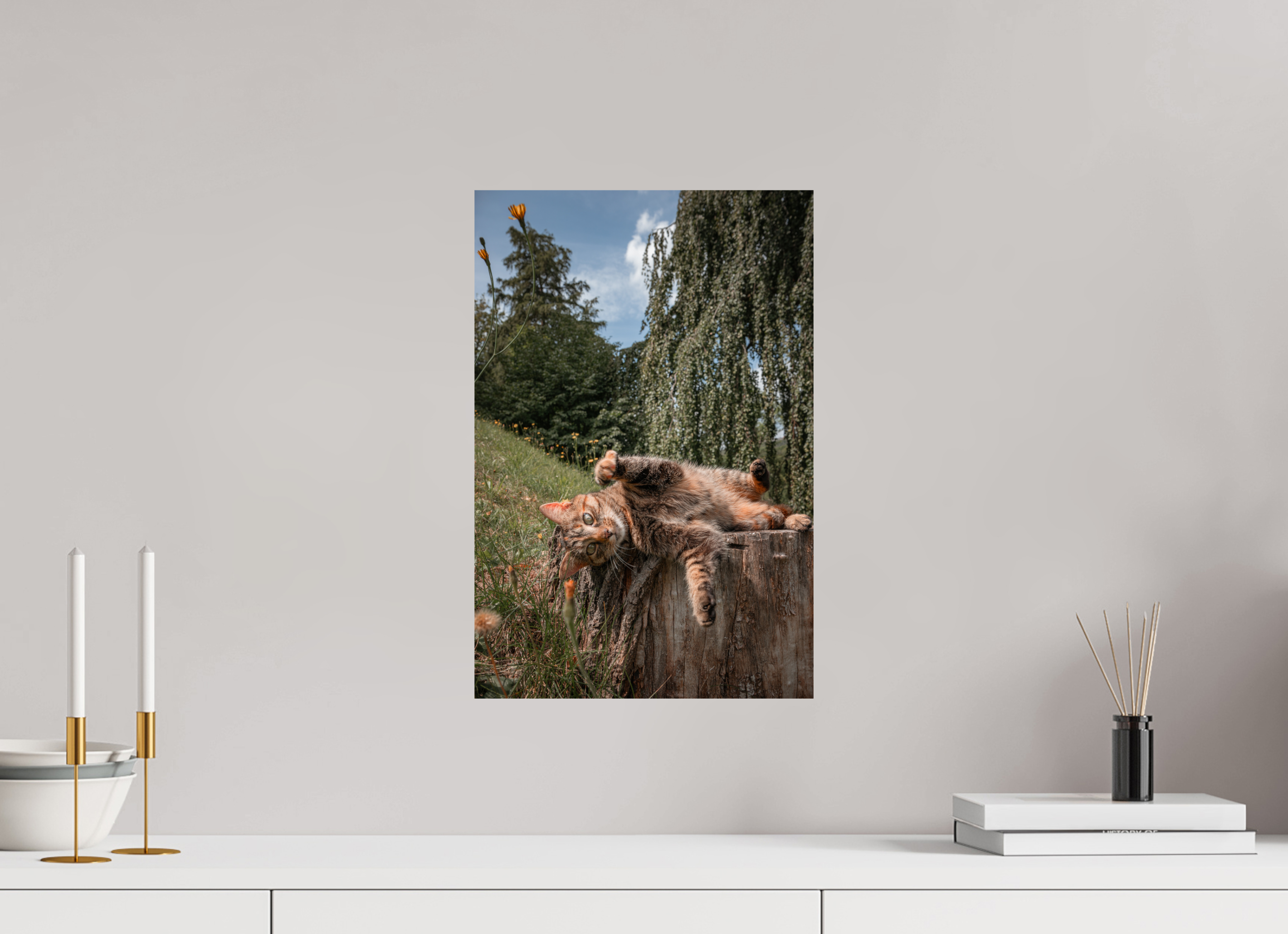 30 x 45 cm, Premium - Hahnemühle Photo Rag Baryta Wild Cat