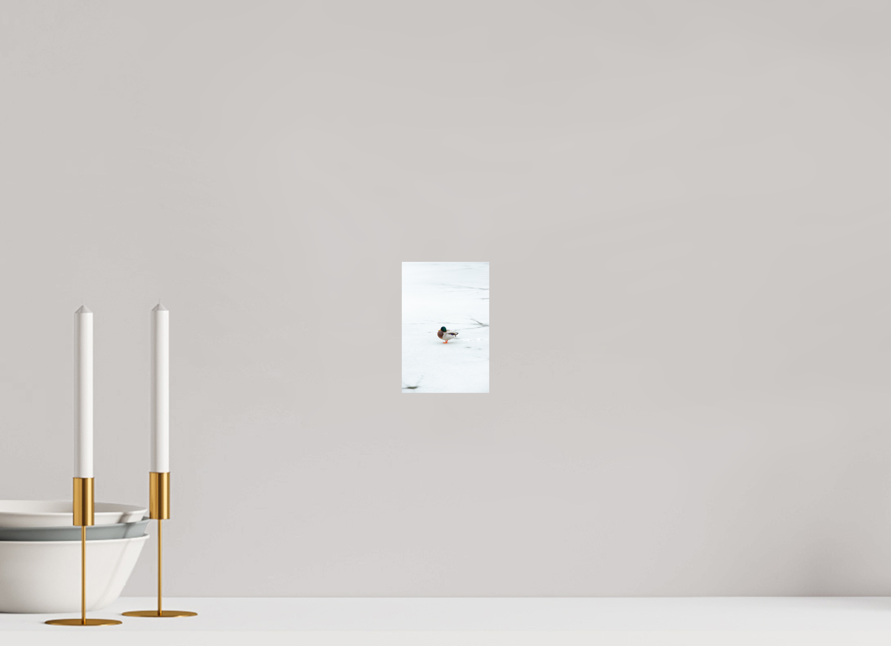 10 x 15 cm, Premium - Hahnemühle Photo Rag Baryta Ente auf dem Prinzenteich