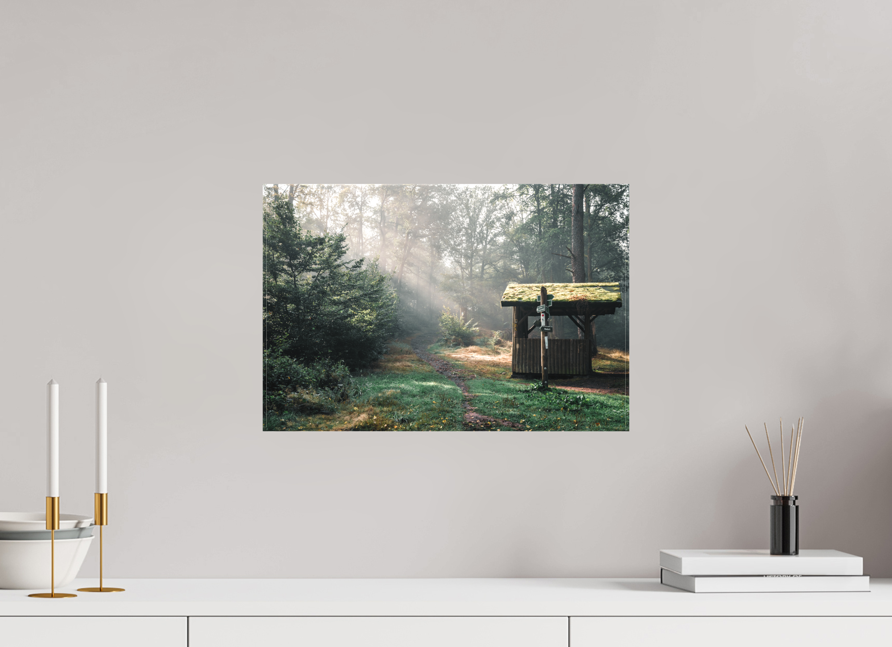 45 x 30 cm, Leinwandprint, matt Märchenwald