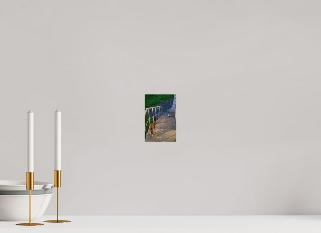 10 x 15 cm, Standard - Fuji Crystal Archive Silk Waschbär zu Besuch