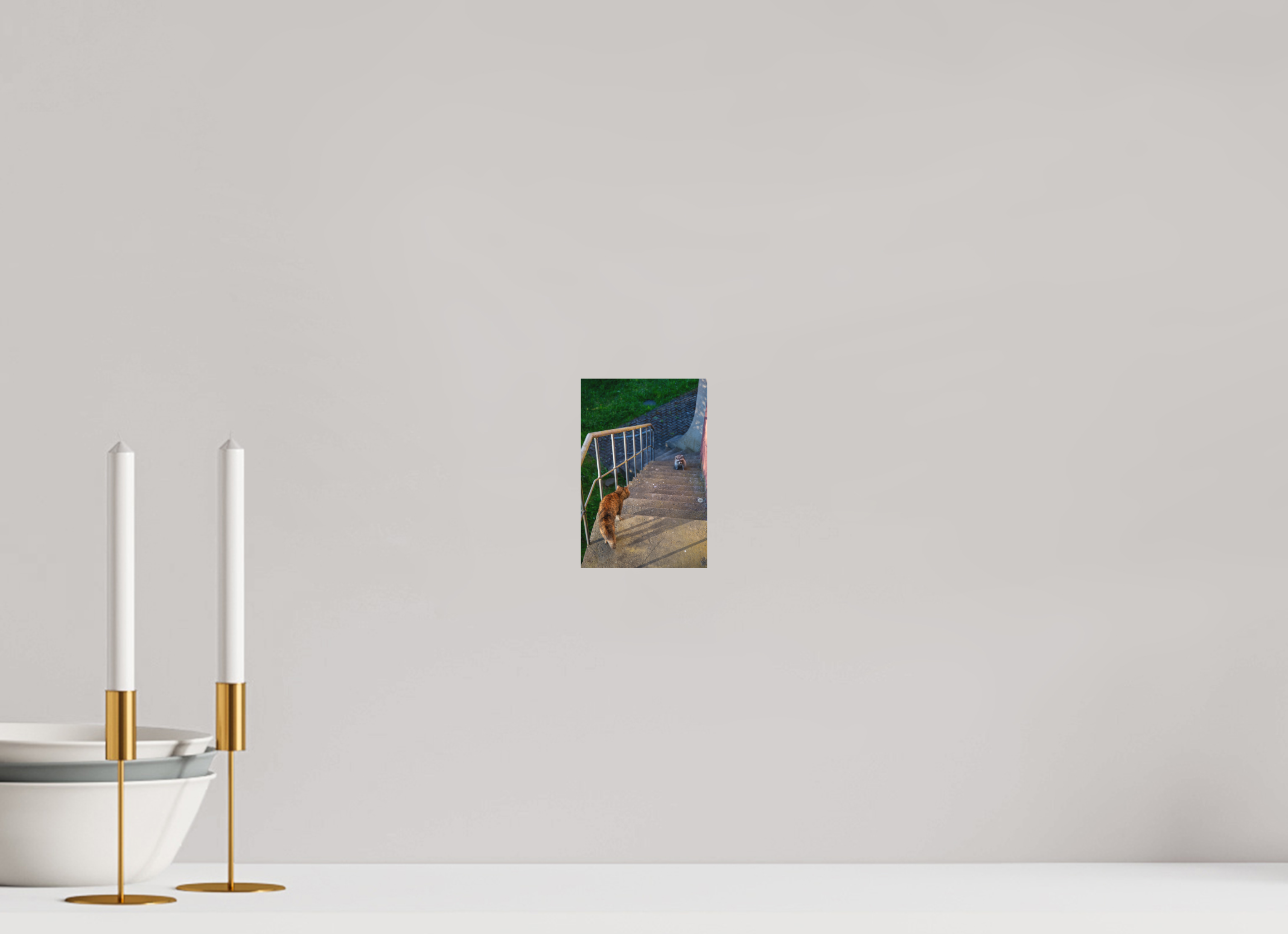 10 x 15 cm, Standard - Fuji Crystal Archive Silk Waschbär zu Besuch