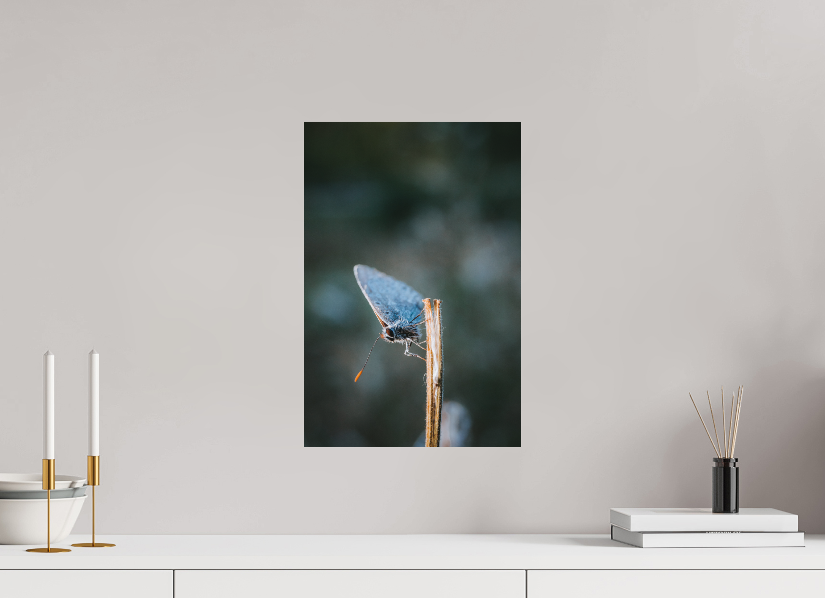 30 x 45 cm, Standard - Fuji Crystal Archive Silk Falter im Hainich