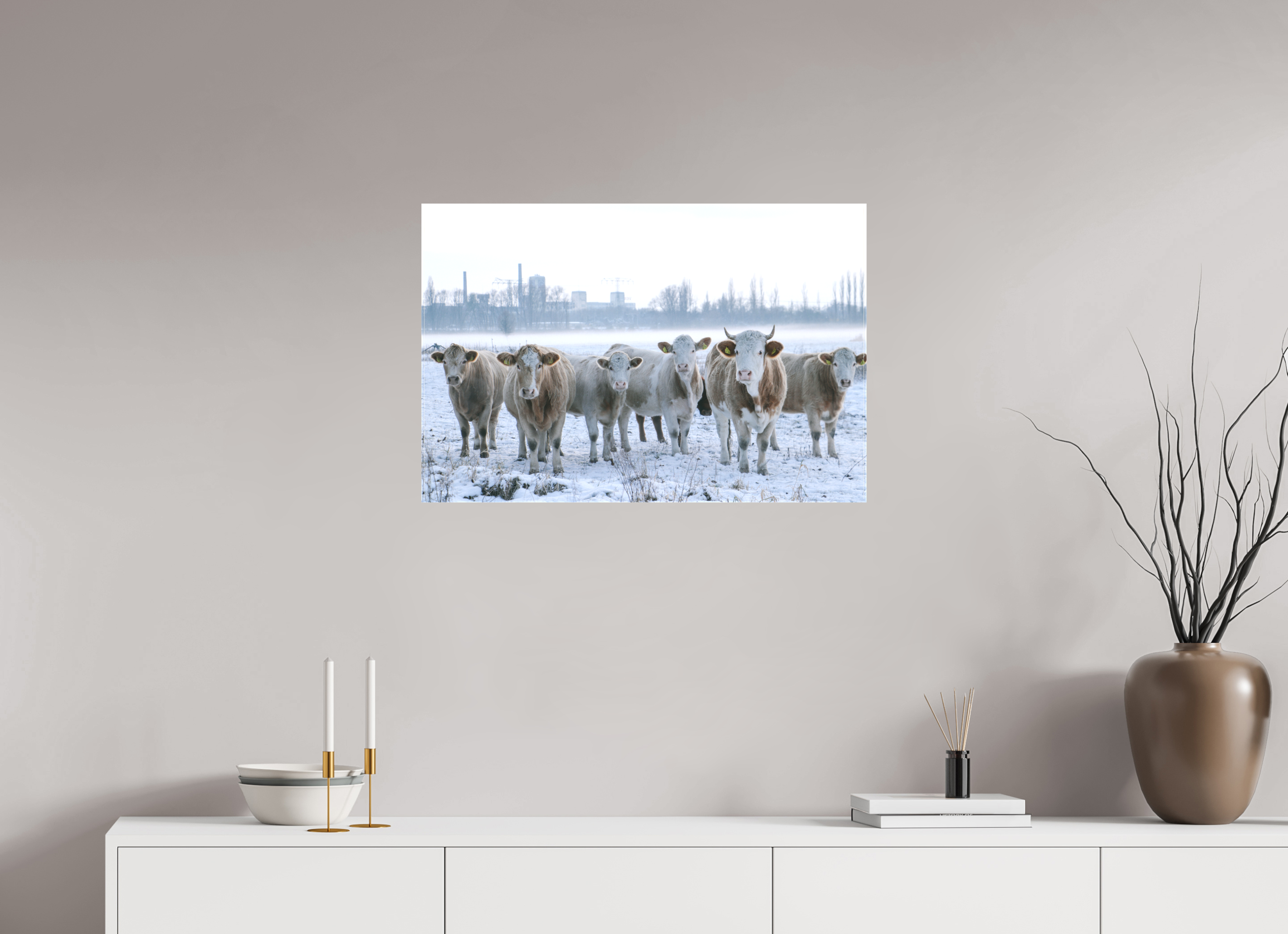 75 x 50 cm, Leinwandprint, matt Kühe an der Elbe