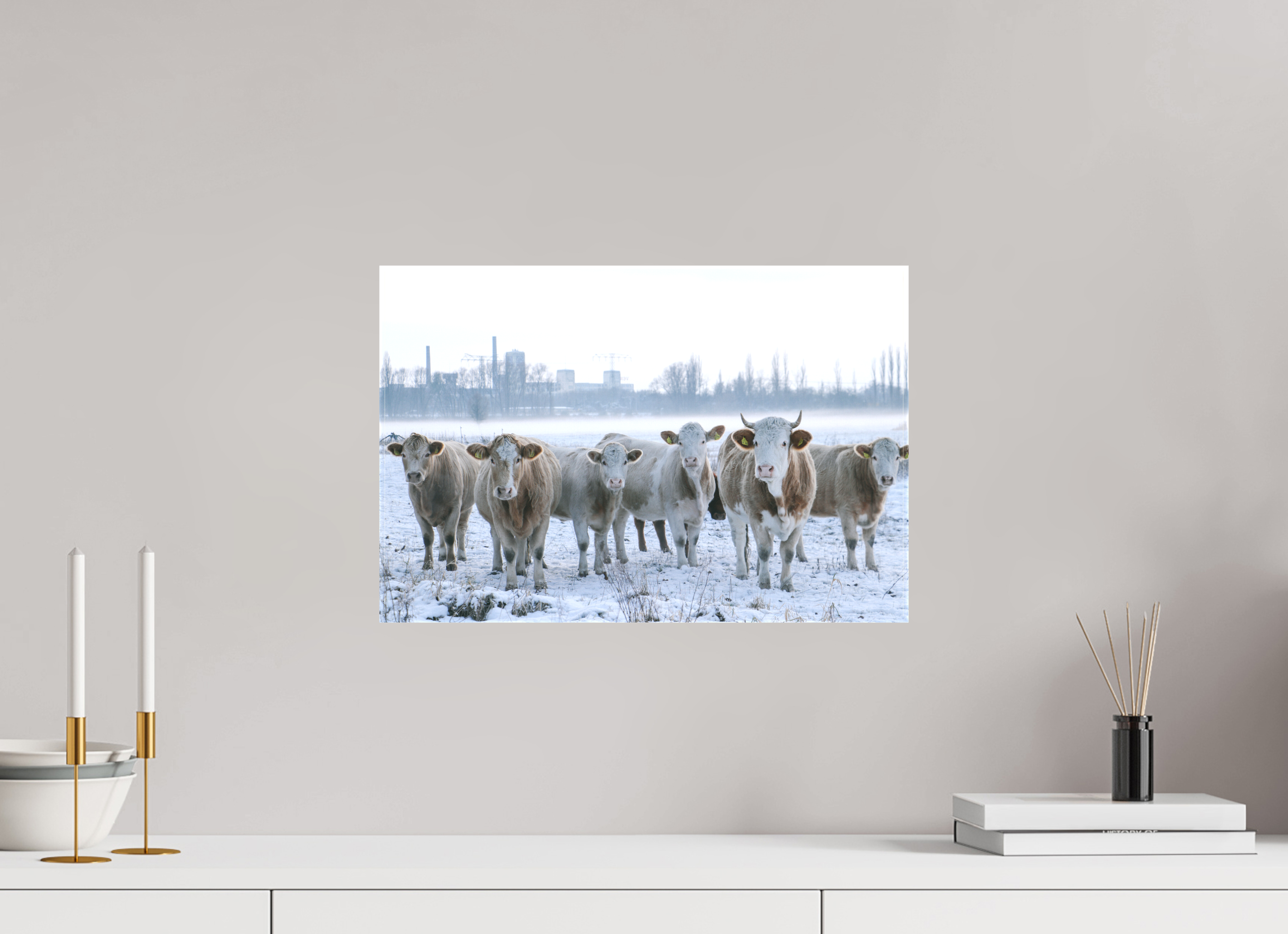 45 x 30 cm, Leinwandprint, matt Kühe an der Elbe