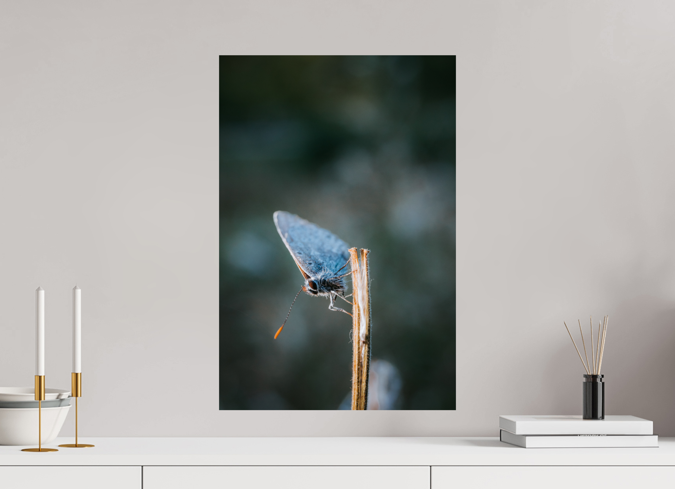 40 x 60 cm, Premium - Hahnemühle Photo Rag Baryta Falter im Hainich