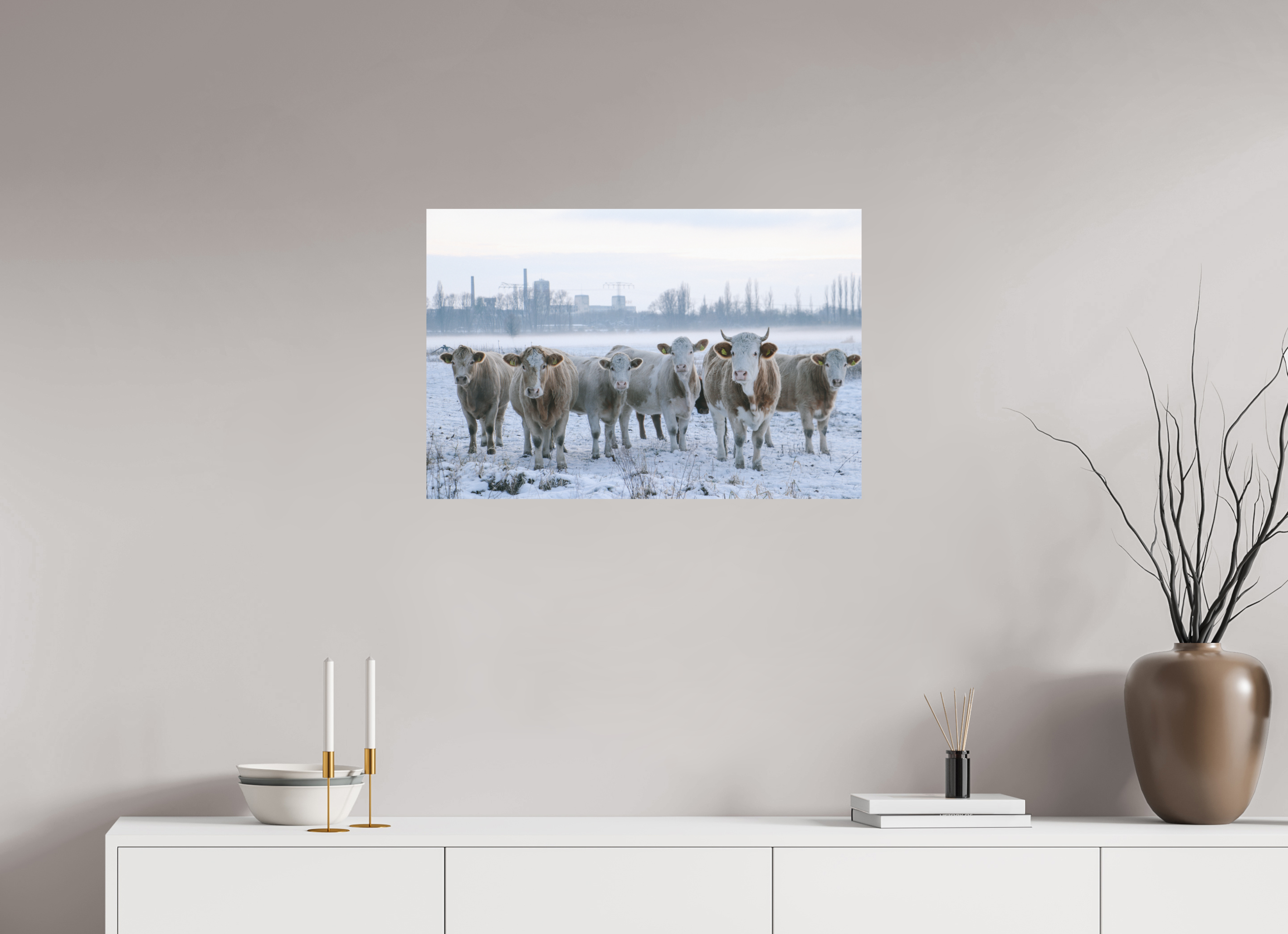 75 x 50 cm, Standard - Fuji Crystal Archive Silk Kühe an der Elbe