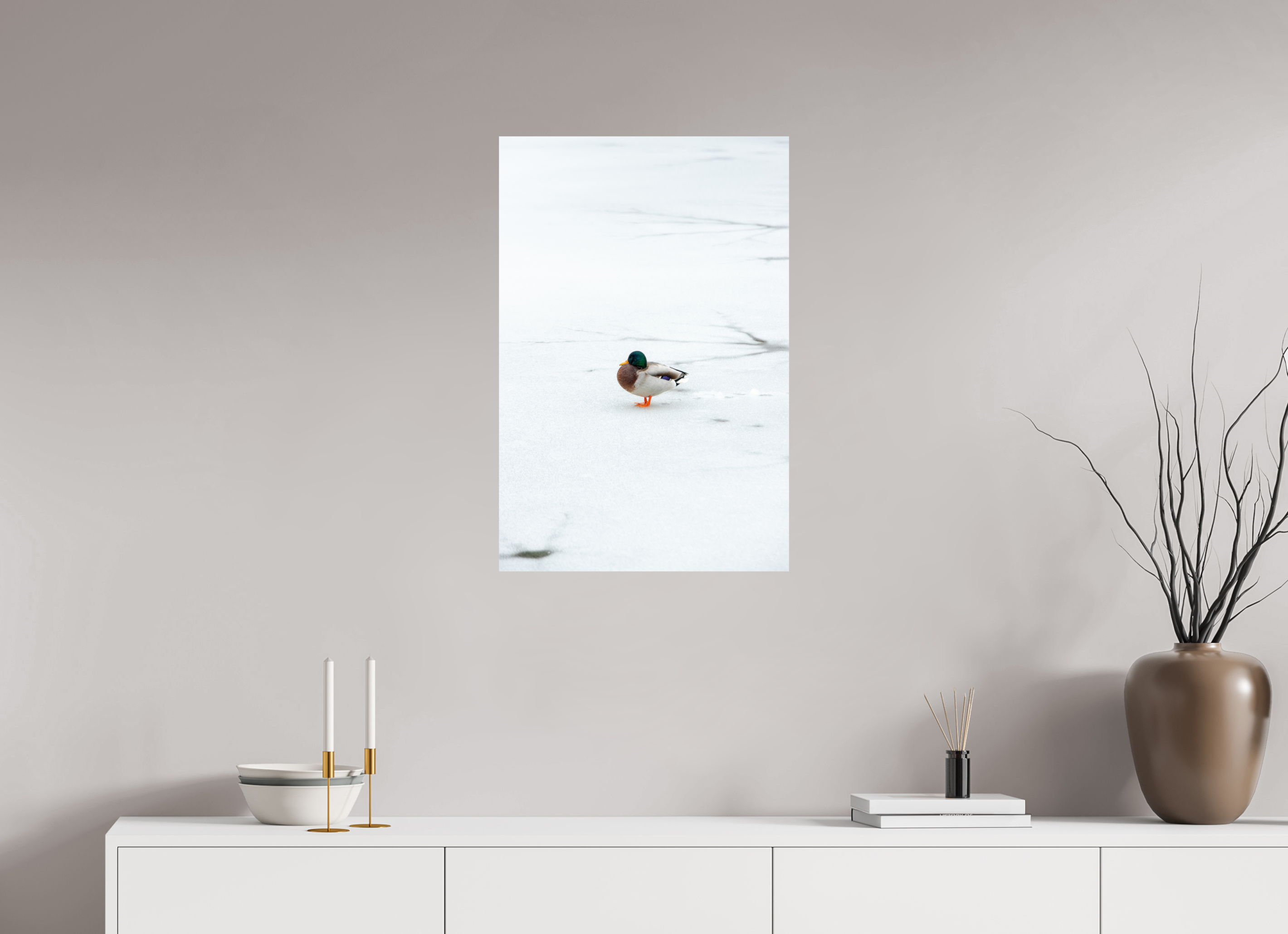 50 x 75 cm, Premium - Hahnemühle Photo Rag Baryta Ente auf dem Prinzenteich