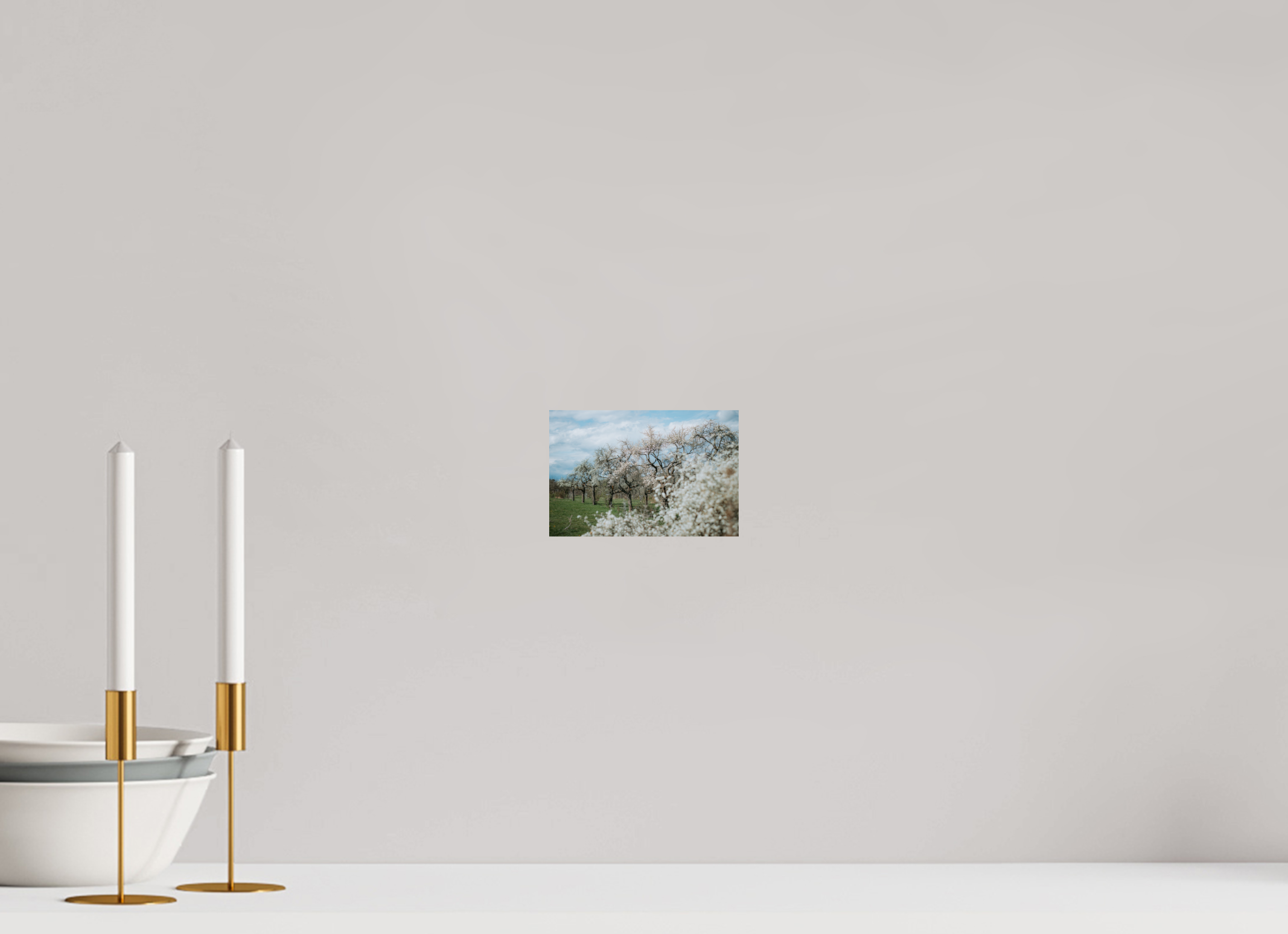 15 x 10 cm, Premium - Hahnemühle Photo Rag Baryta Kirschblüte