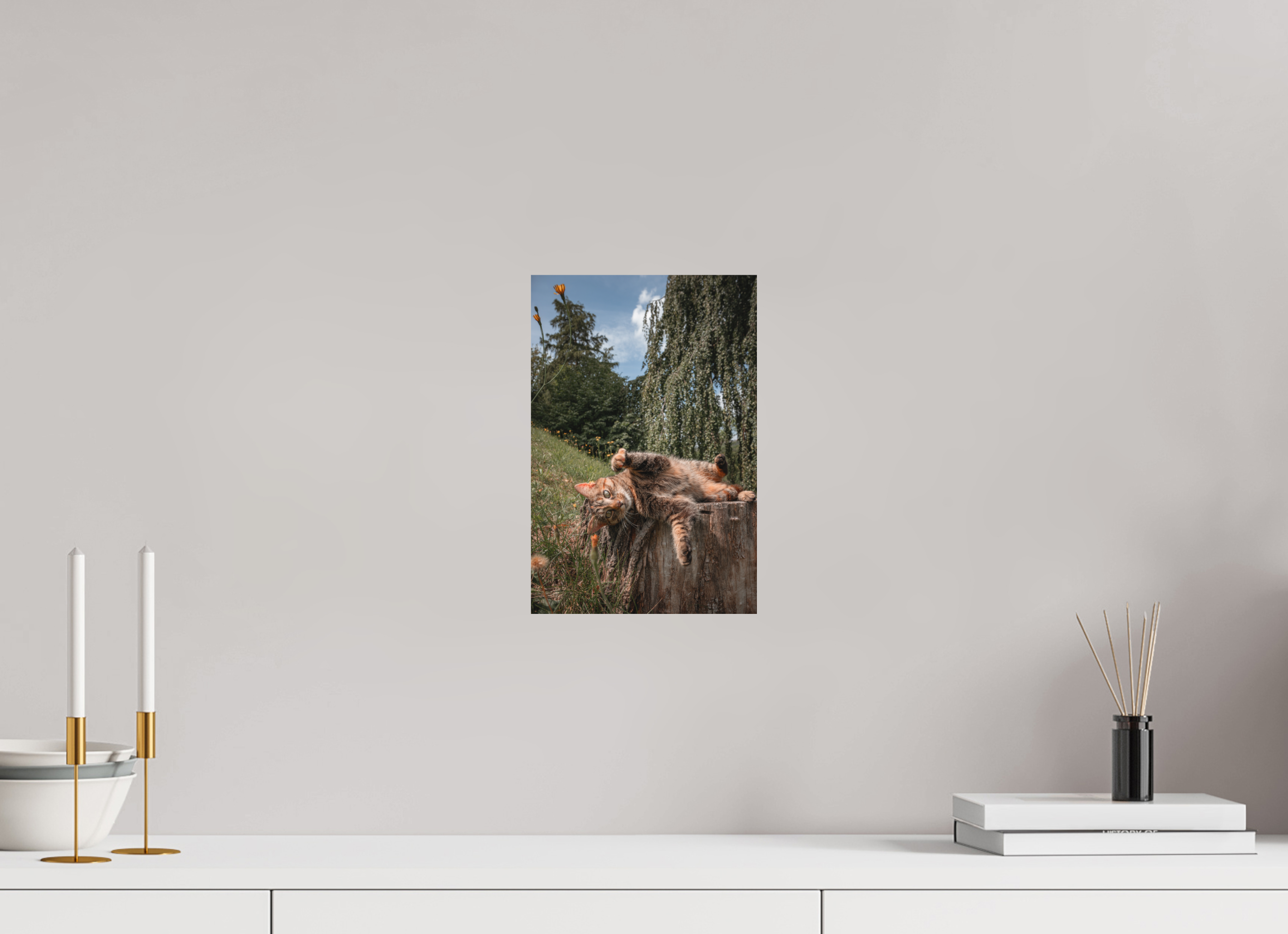 20 x 30 cm, Standard - Fuji Crystal Archive Silk Wild Cat