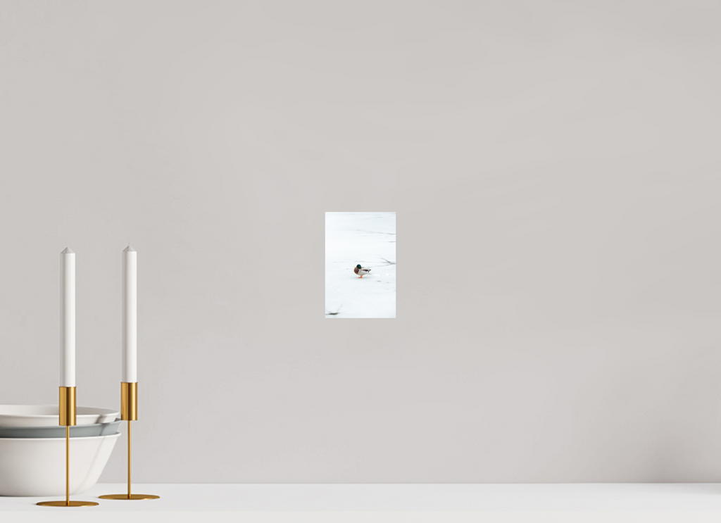 10 x 15 cm, Standard - Fuji Crystal Archive Silk Ente auf dem Prinzenteich